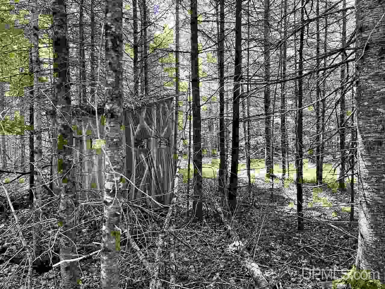 E4084 Paulsen Road Chatham, MI 49816 - Photo 59 of 78 Gallery Image 59