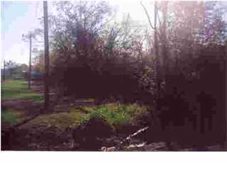2933 Hoffpauir Road Rayne, LA 70578 - Photo 1 of 2 Primary Photo