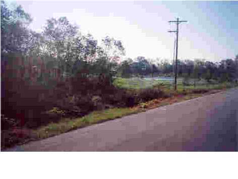 2933 Hoffpauir Road Rayne, LA 70578 - Photo 2 of 2 Additional Photo