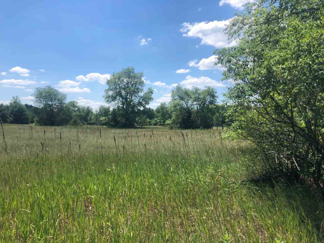 0 Vondra Road Thompsonville, MI 49683 - Photo 2 of 10 1876673-1.JPG