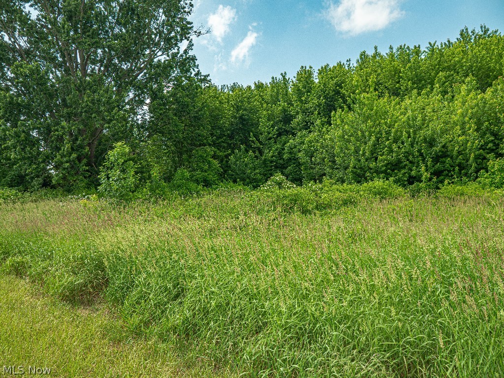 0 Bushnell Road Conneaut, OH 44030 - Photo 23 of 24 View of local wilderness
