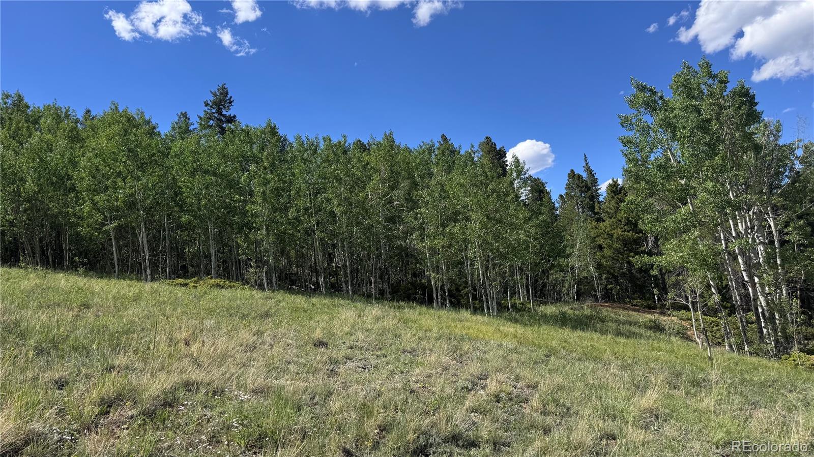2 Mac Rock Road Central City, CO 80427 - Photo 5 of 20