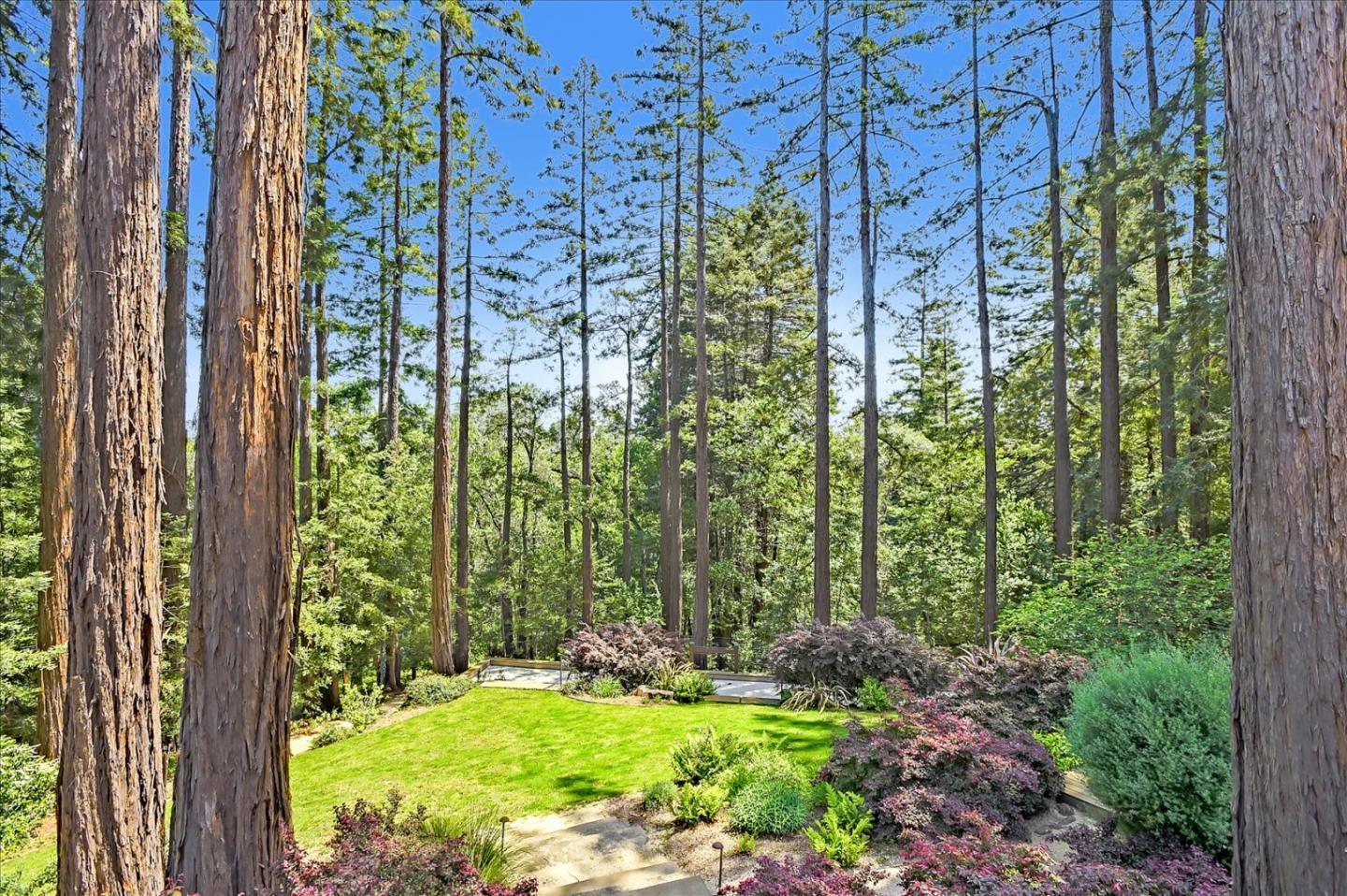 700 Patrol Road Woodside, CA 94062 - Photo 46 of 55 a view of backyard with plants