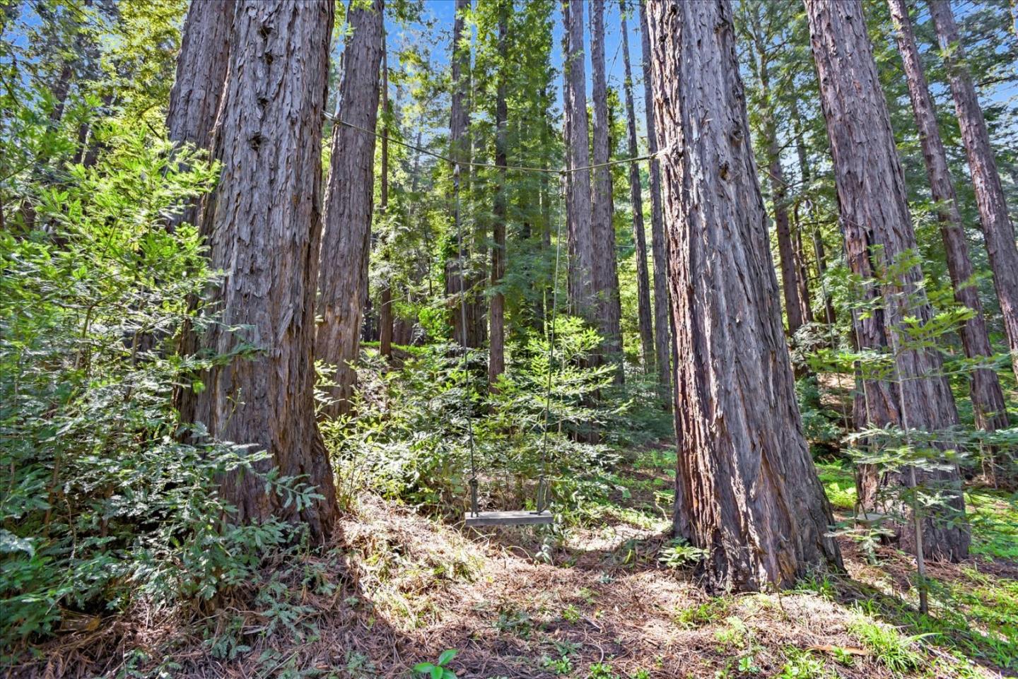 700 Patrol Road Woodside, CA 94062 - Photo 49 of 55