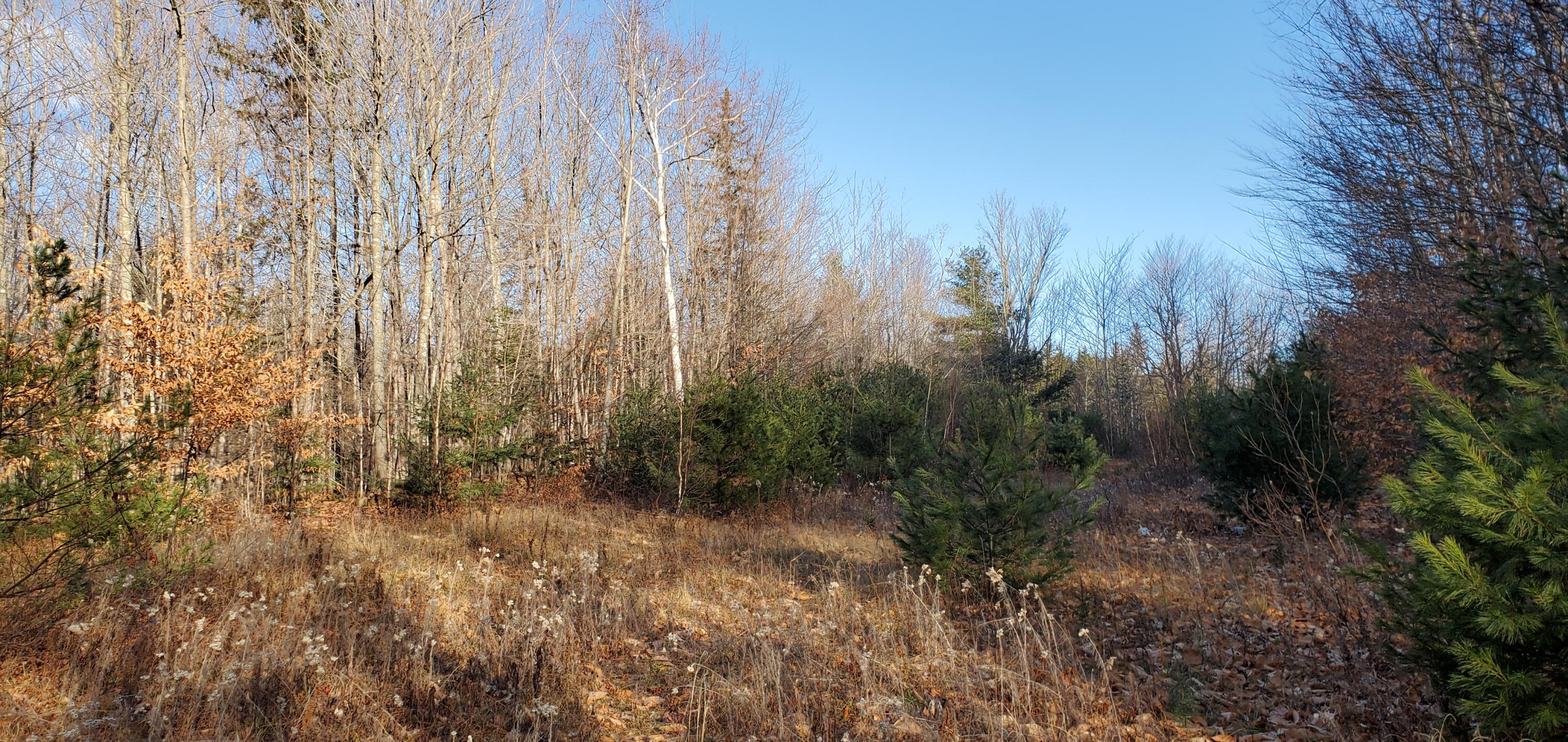 Tbd Lambert Road New Vineyard, ME 04956 - Photo 6 of 7 20211123_083934