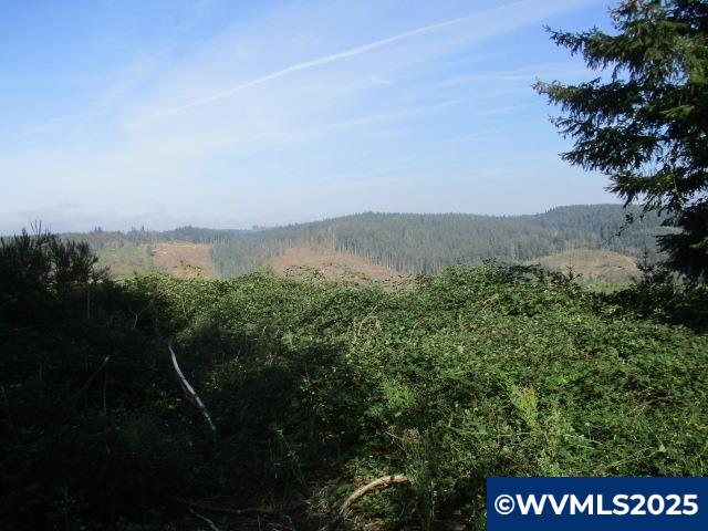 Lot 900-901 Hazelnut Ridge Road Scotts Mills, OR 97375 - Photo 19 of 23 Gallery Image 19