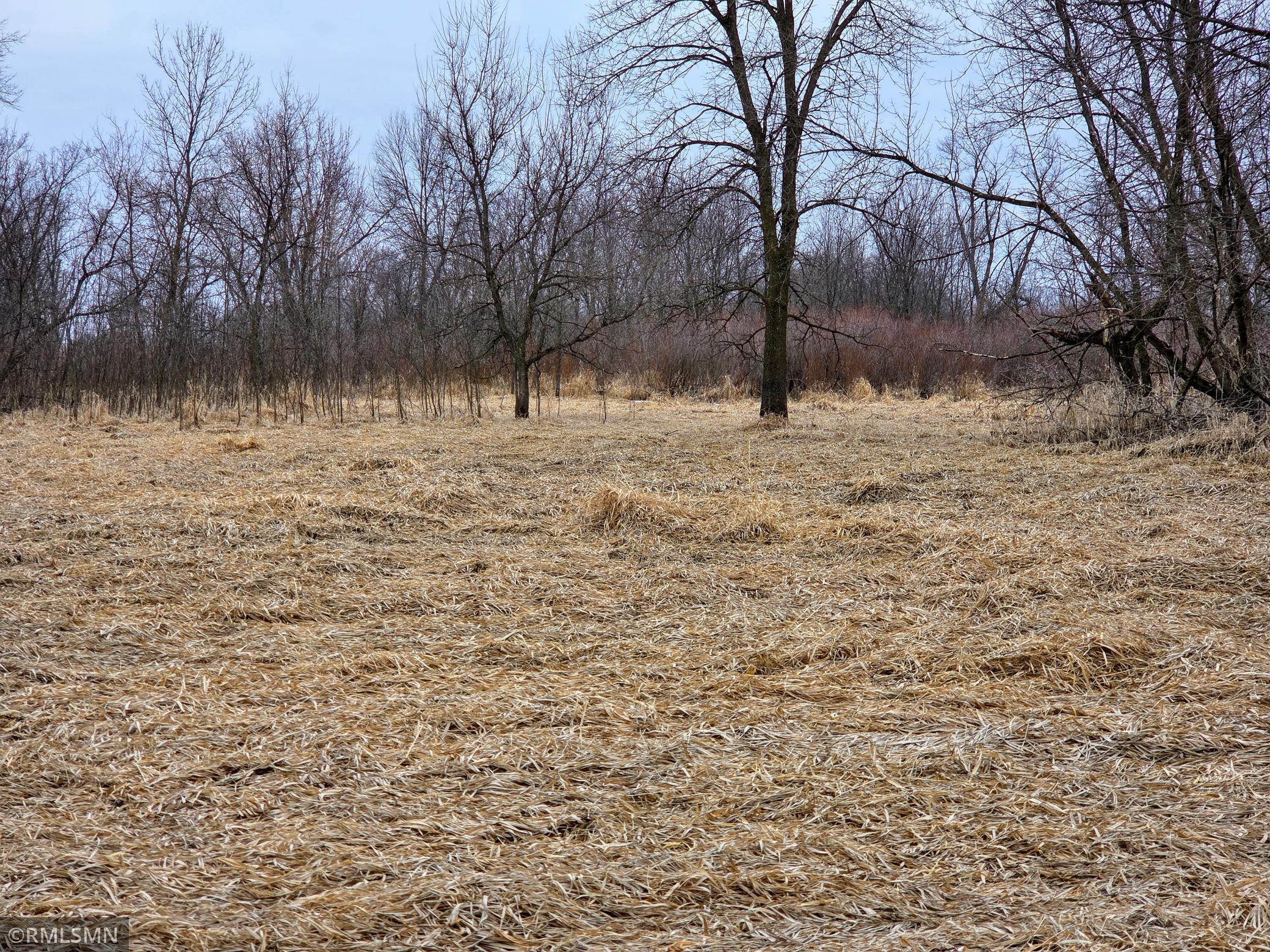 Tbd Tbd 484th Lane Waterville, MN 56096 - Photo 20 of 52