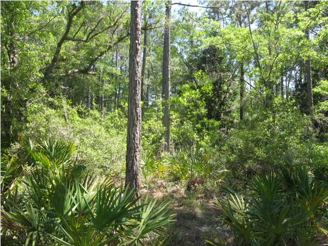 X X Tolbert Road, Unit TOLBERTBISHOP Santa Rosa Beach, FL 32459 - Photo 14 of 18 Additional Photo