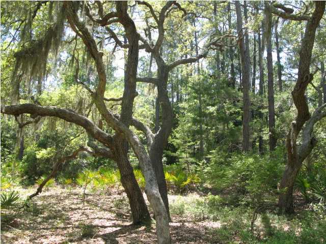 X X Tolbert Road, Unit TOLBERTBISHOP Santa Rosa Beach, FL 32459 - Photo 5 of 18 Additional Photo