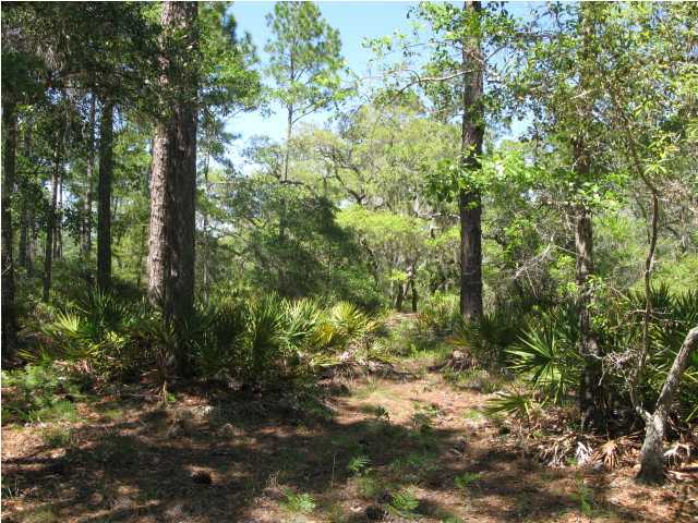 X X Tolbert Road, Unit TOLBERTBISHOP Santa Rosa Beach, FL 32459 - Photo 10 of 18 Additional Photo
