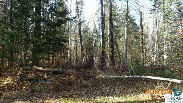 7790 East Tom Green Road Solon Springs, WI 54873 - Photo 13 of 20