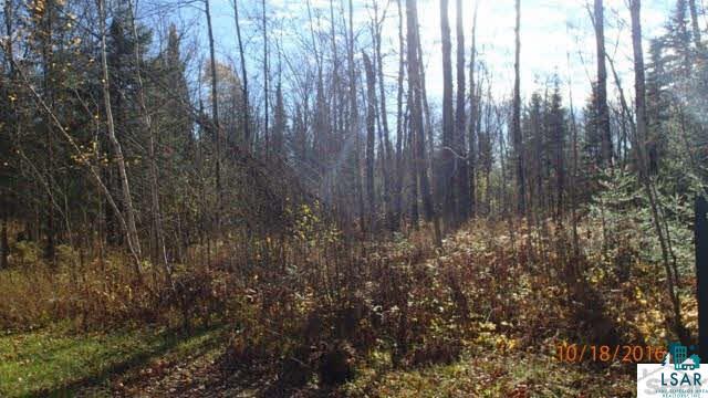 7790 East Tom Green Road Solon Springs, WI 54873 - Photo 14 of 20