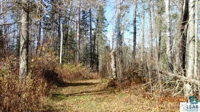 7790 East Tom Green Road Solon Springs, WI 54873 - Photo 18 of 20