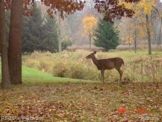 5355 Jewell Road Howell, MI 48843 - Photo 58 of 58 58.jpg