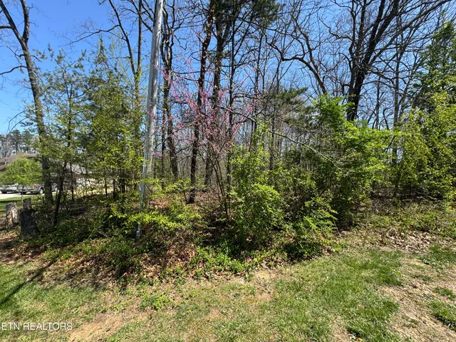 $33,500 | Deer Creek Drive, Crossville, TN 38571