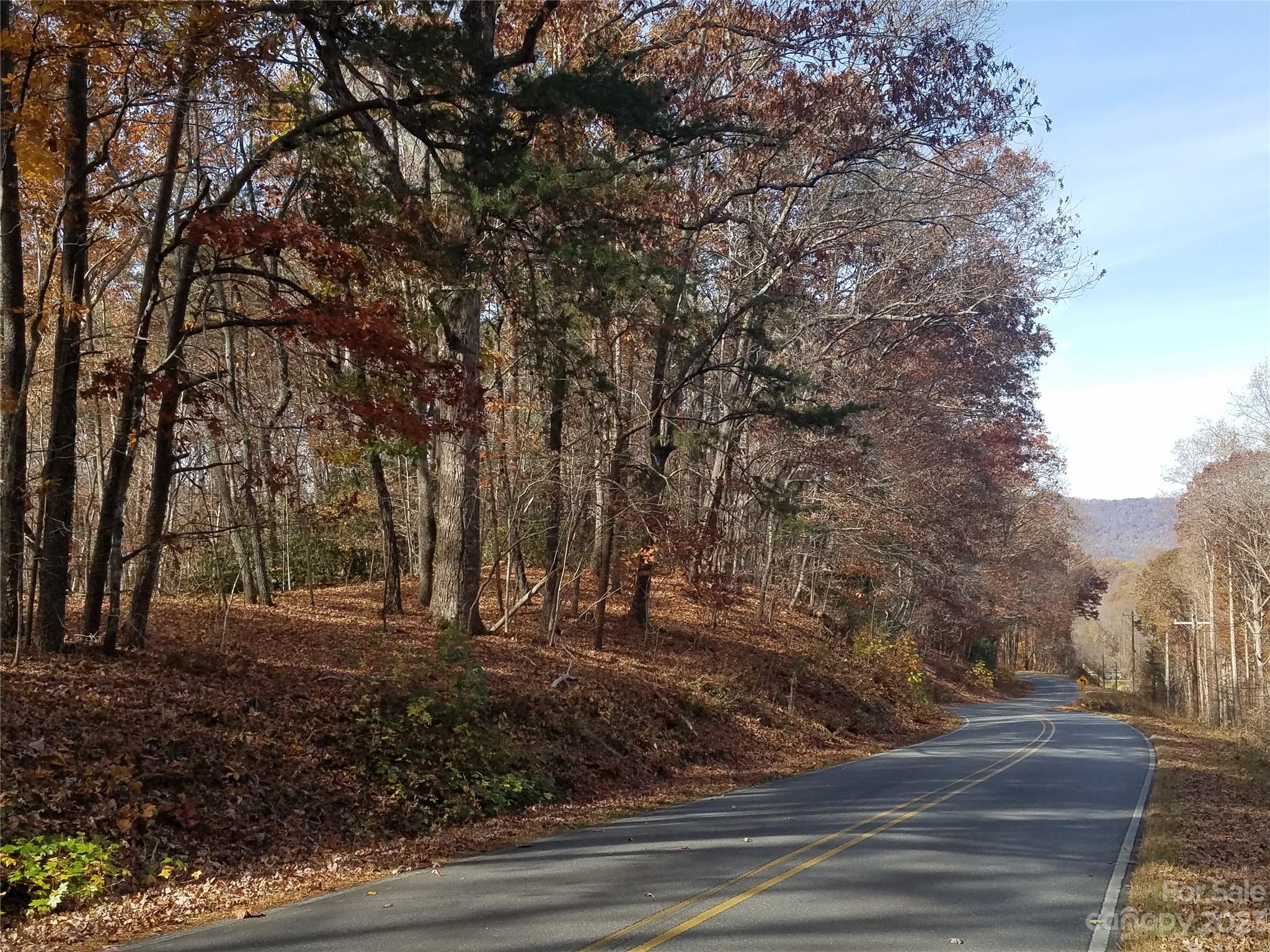 0 New Market Road Tryon, NC 28782 - Photo 1 of 13 a view of a yard with tree s