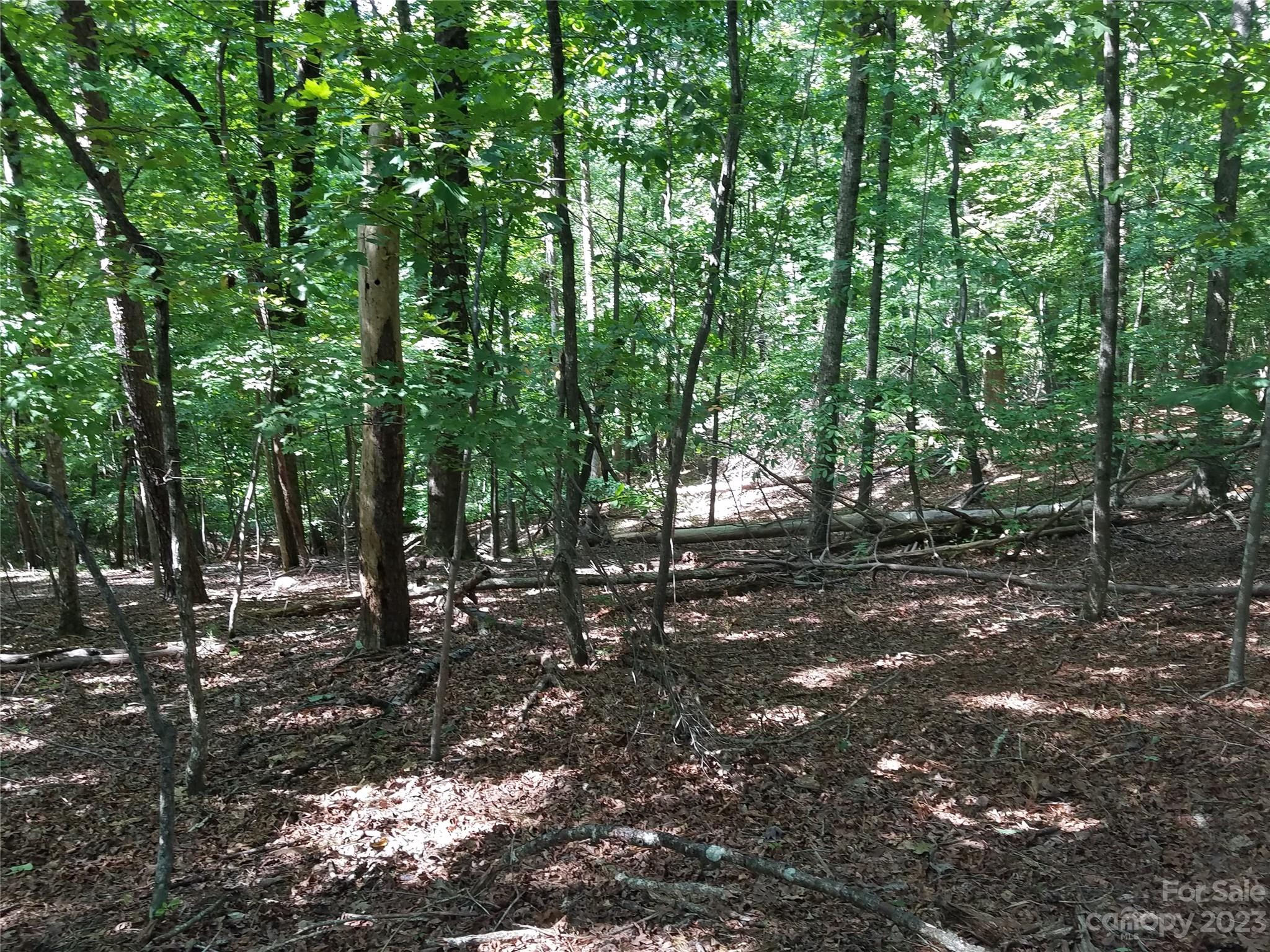 0 New Market Road Tryon, NC 28782 - Photo 4 of 13 a backyard of a house with lots of green space