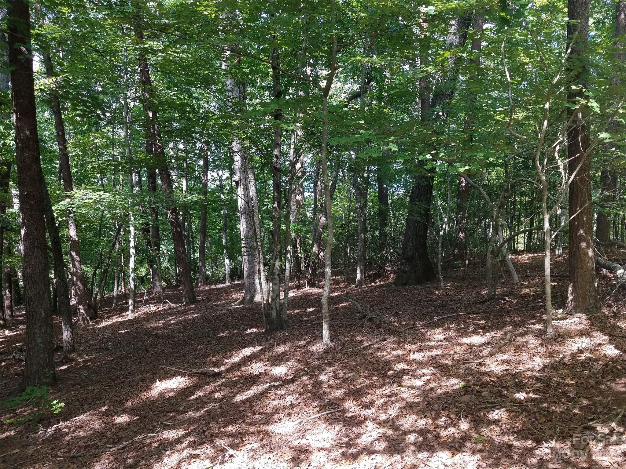 0 New Market Road Tryon, NC 28782 - Photo 5 of 13 a view of a tree in the middle of a yard