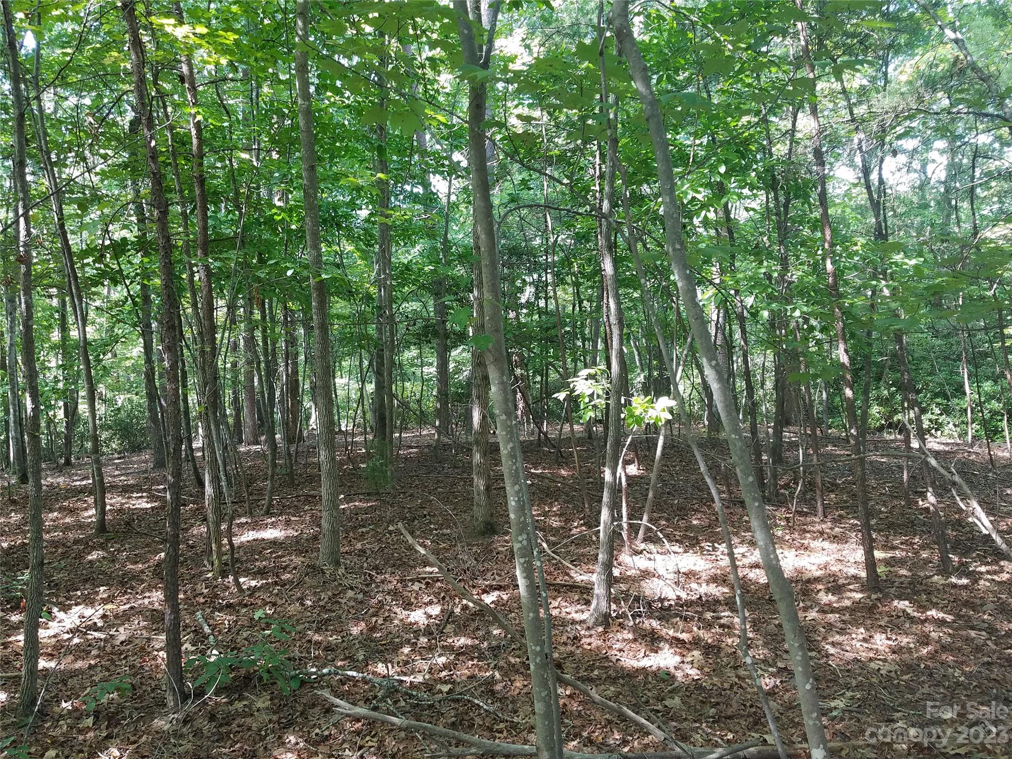 0 New Market Road Tryon, NC 28782 - Photo 7 of 13 a backyard of a house with lots of green space