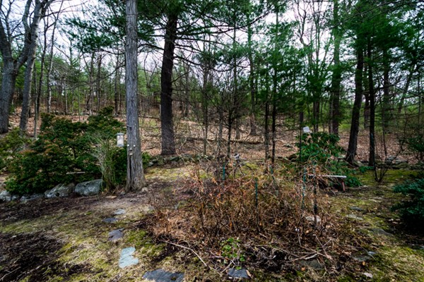 23 Canterbury Road Woburn, MA 01801 - Photo 23 of 23 Gallery Image 23