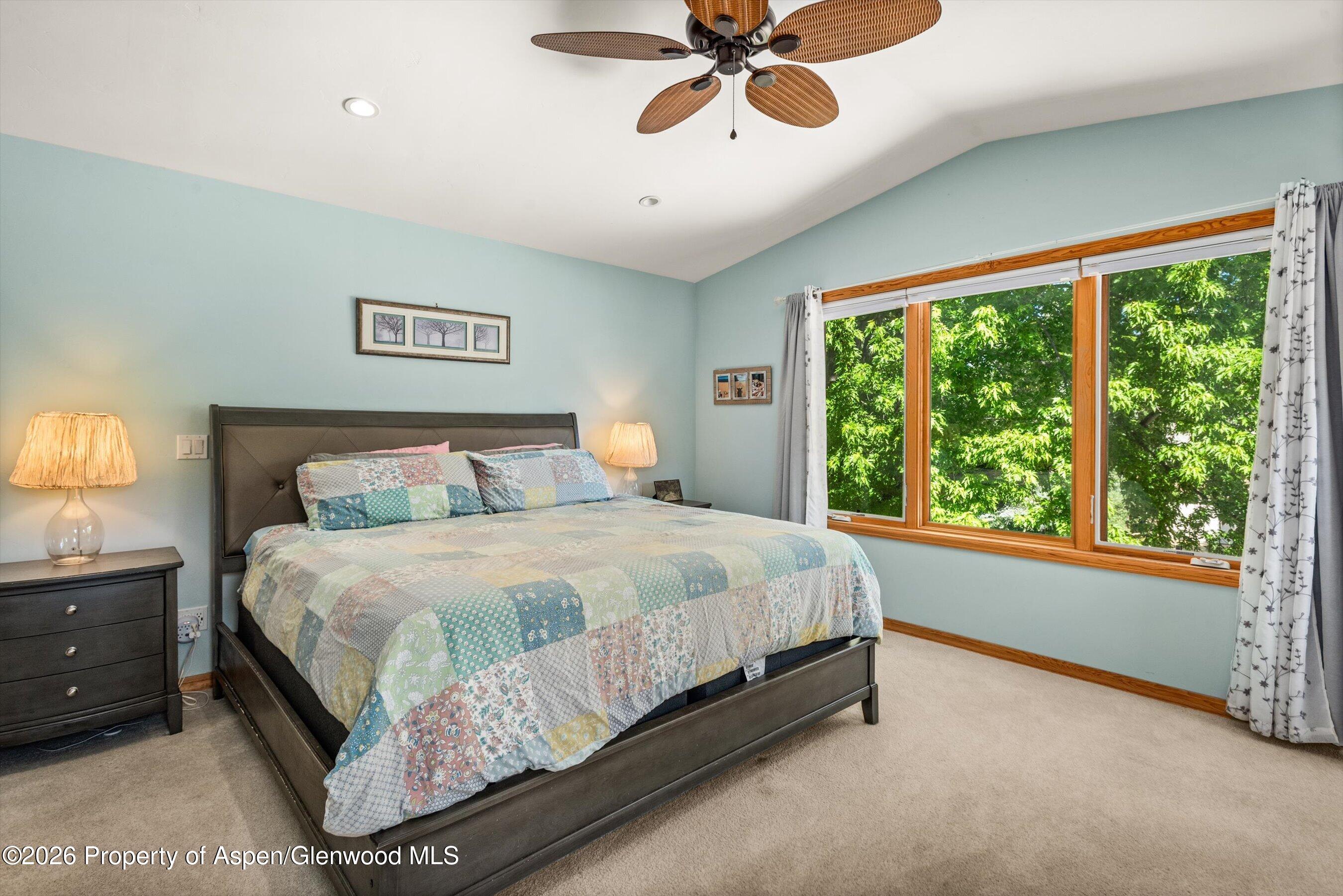 63 Badger Road Carbondale, CO 81623 - Photo 11 of 27 23-63Badger_06112026023