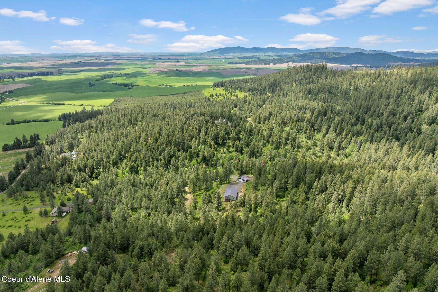 16003 Benewah Creek Road St. Maries, ID 83861 - Photo 34 of 45 Aerial Countryside View
