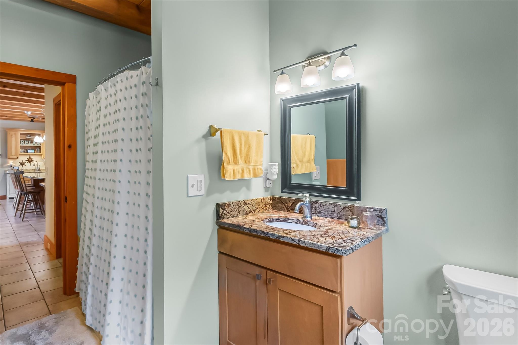 482 Gap Creek Road Zirconia, NC 28790 - Photo 10 of 48
