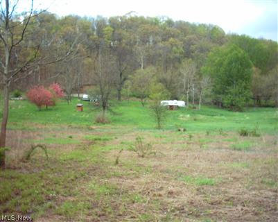 8732 Boone Road Kimbolton, OH 43749 - Photo 1 of 1 Picture taken close to Willis Creek toward Boone Rd.