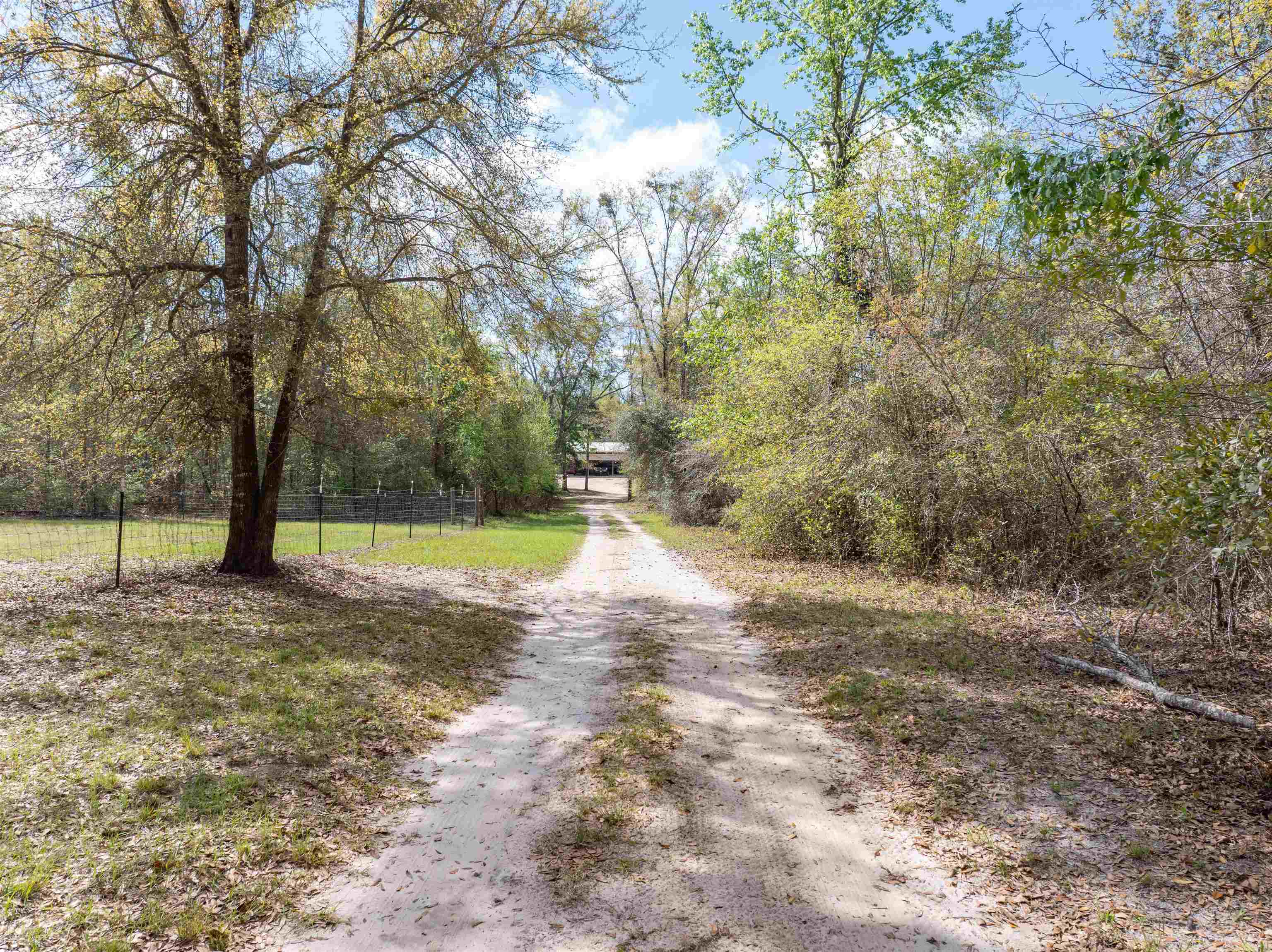 572 Northeast Oak Hill Road Pinetta, FL 32350 - Photo 11 of 48