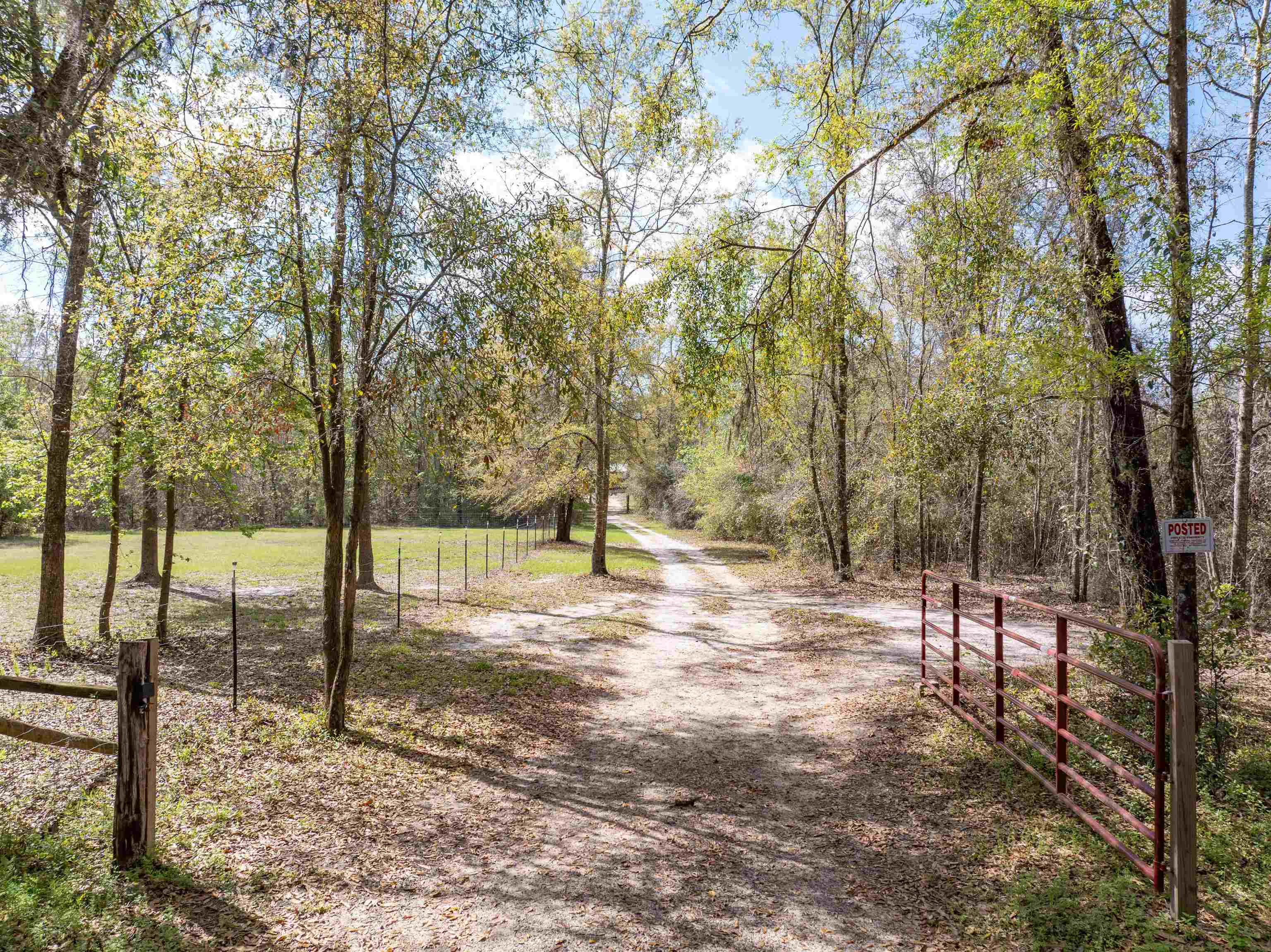 572 Northeast Oak Hill Road Pinetta, FL 32350 - Photo 12 of 48