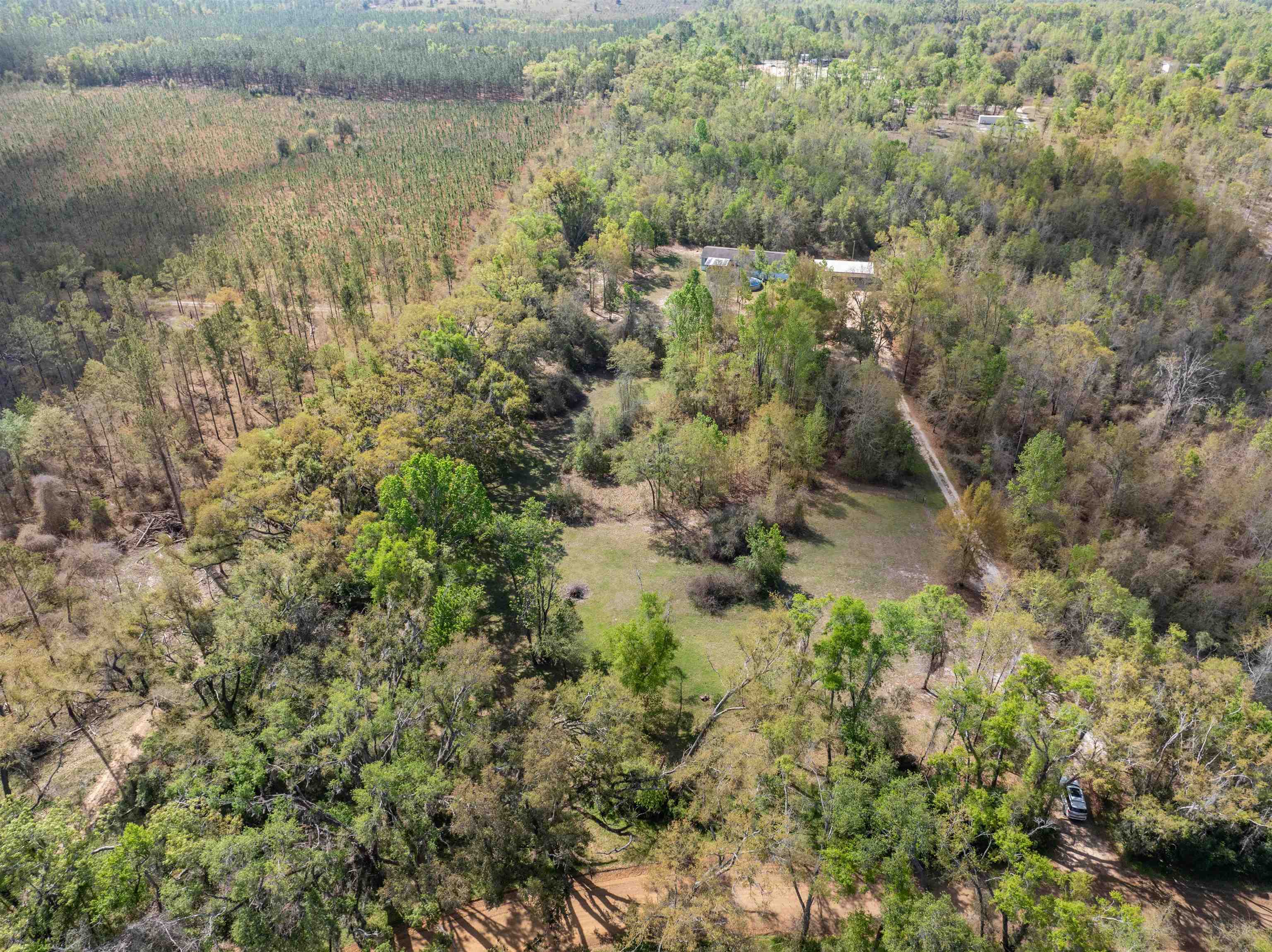 572 Northeast Oak Hill Road Pinetta, FL 32350 - Photo 13 of 48