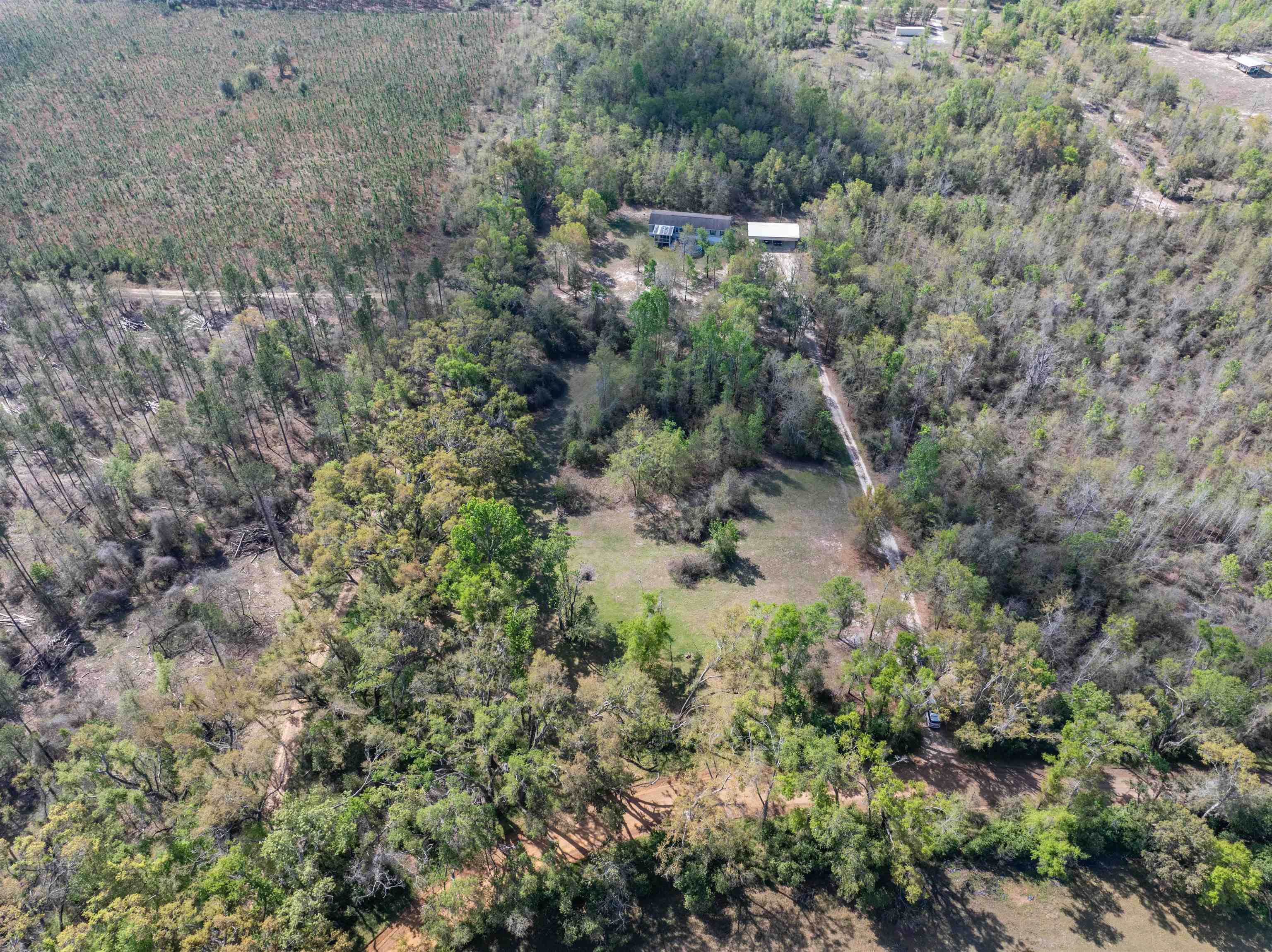 572 Northeast Oak Hill Road Pinetta, FL 32350 - Photo 14 of 48