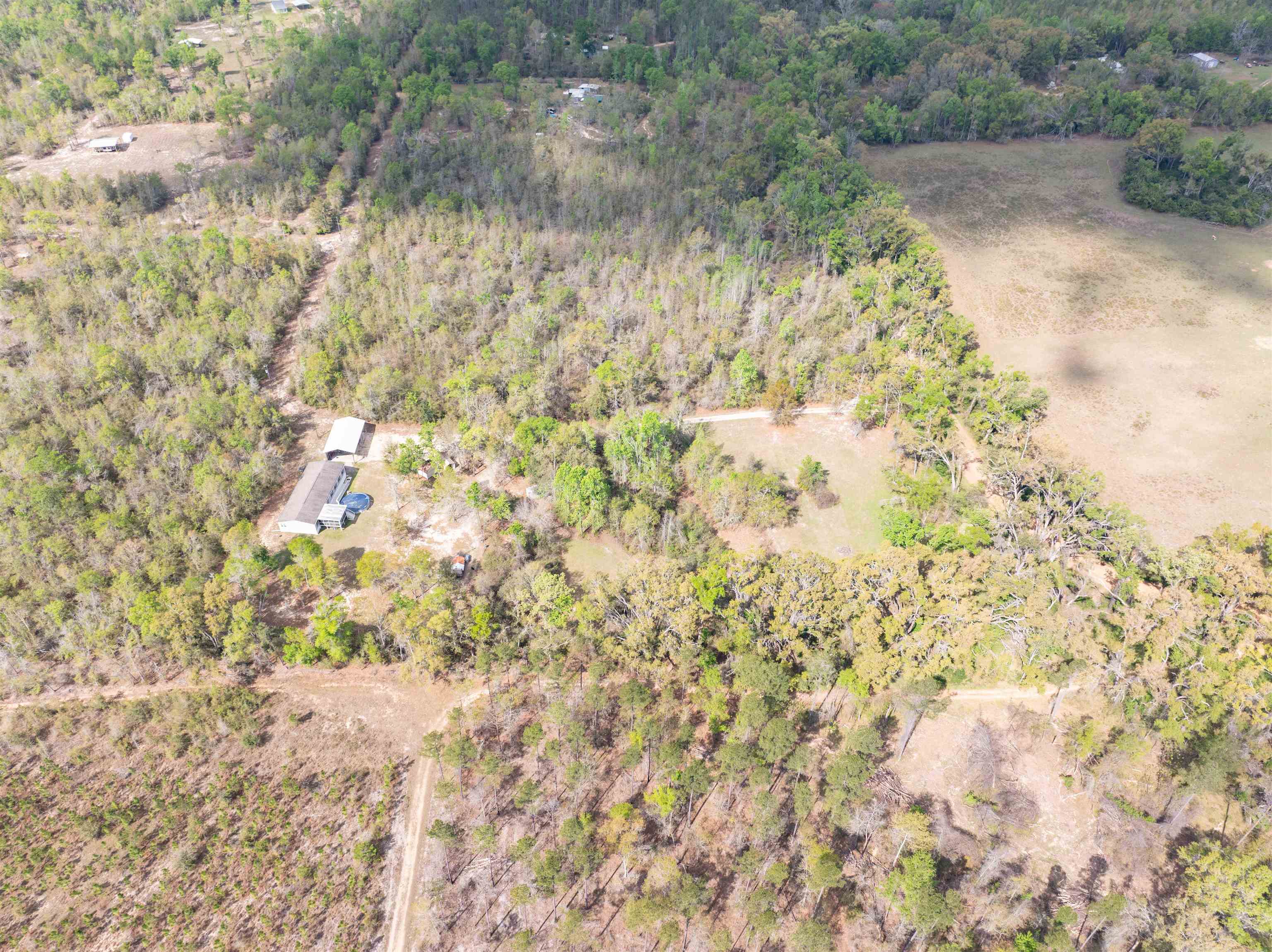 572 Northeast Oak Hill Road Pinetta, FL 32350 - Photo 17 of 48