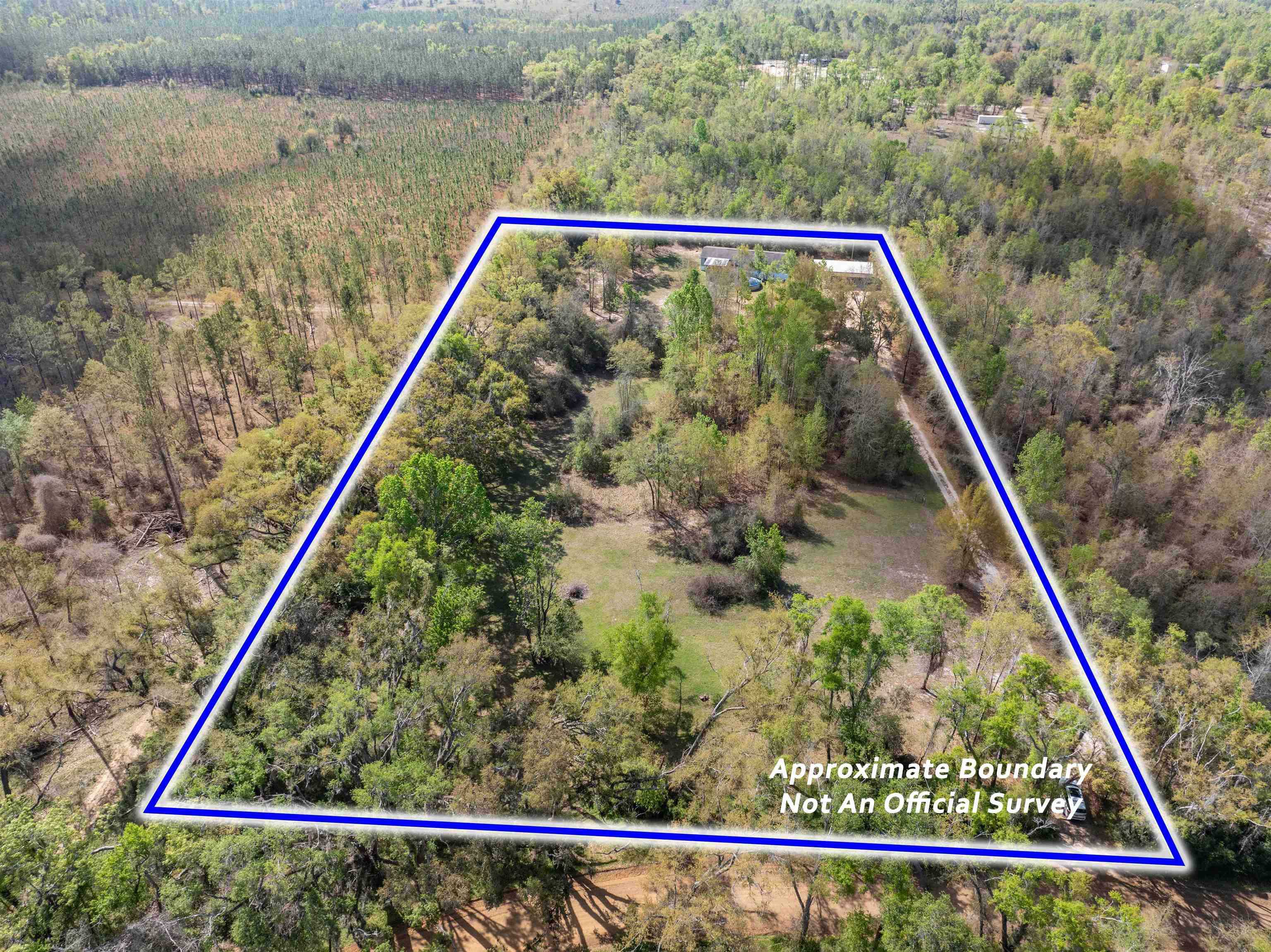 572 Northeast Oak Hill Road Pinetta, FL 32350 - Photo 18 of 48