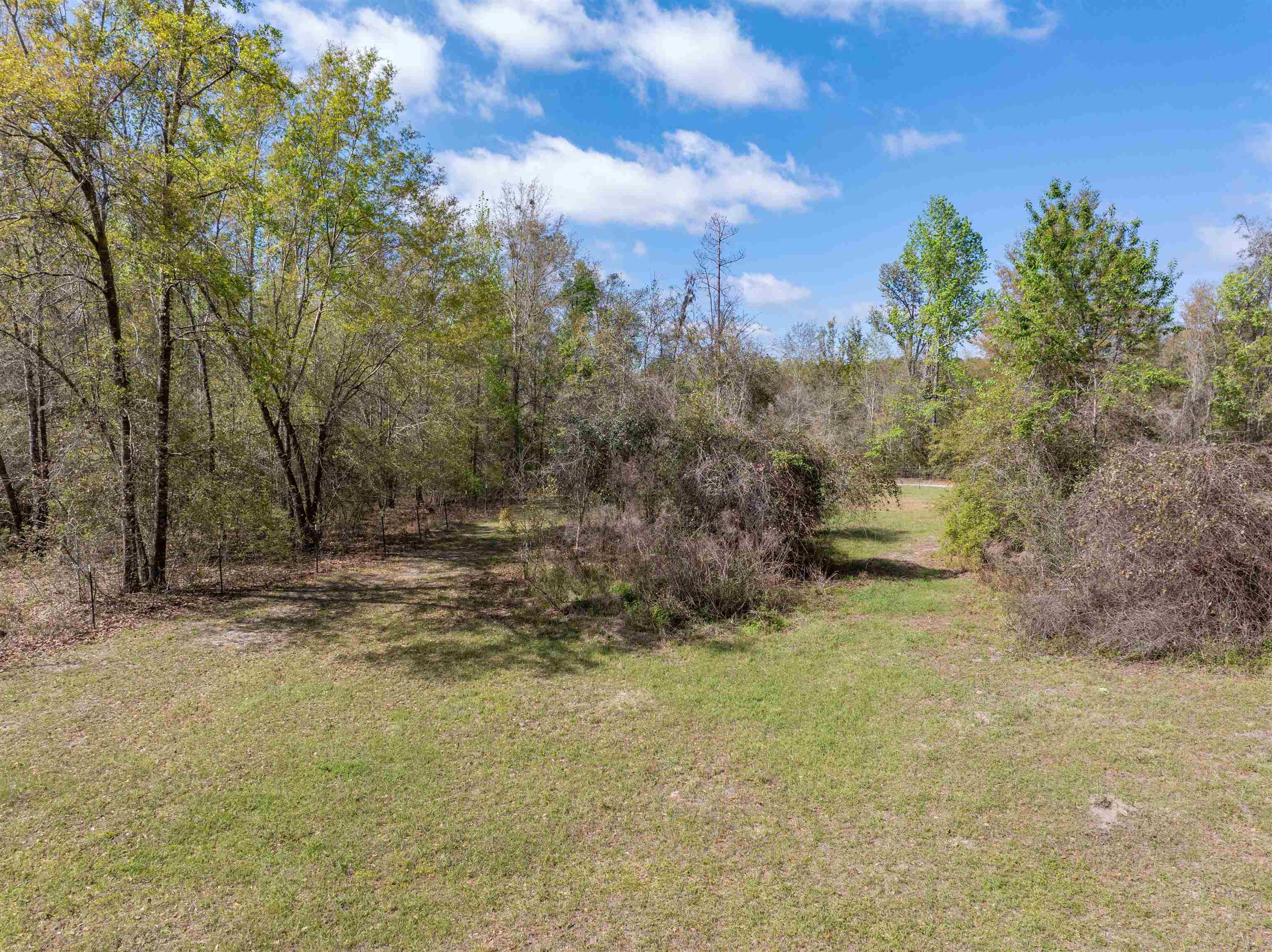 572 Northeast Oak Hill Road Pinetta, FL 32350 - Photo 4 of 48