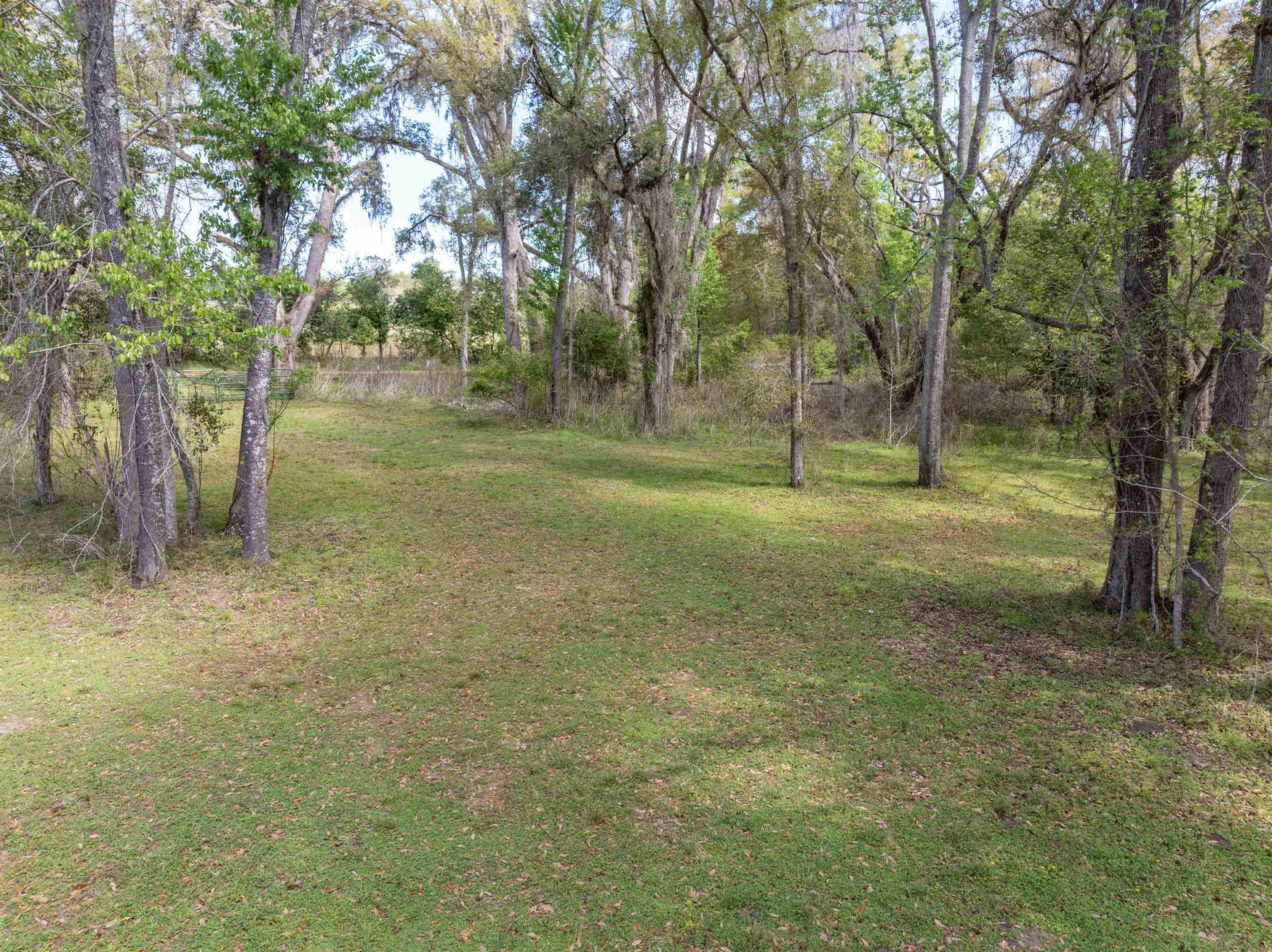 572 Northeast Oak Hill Road Pinetta, FL 32350 - Photo 5 of 48