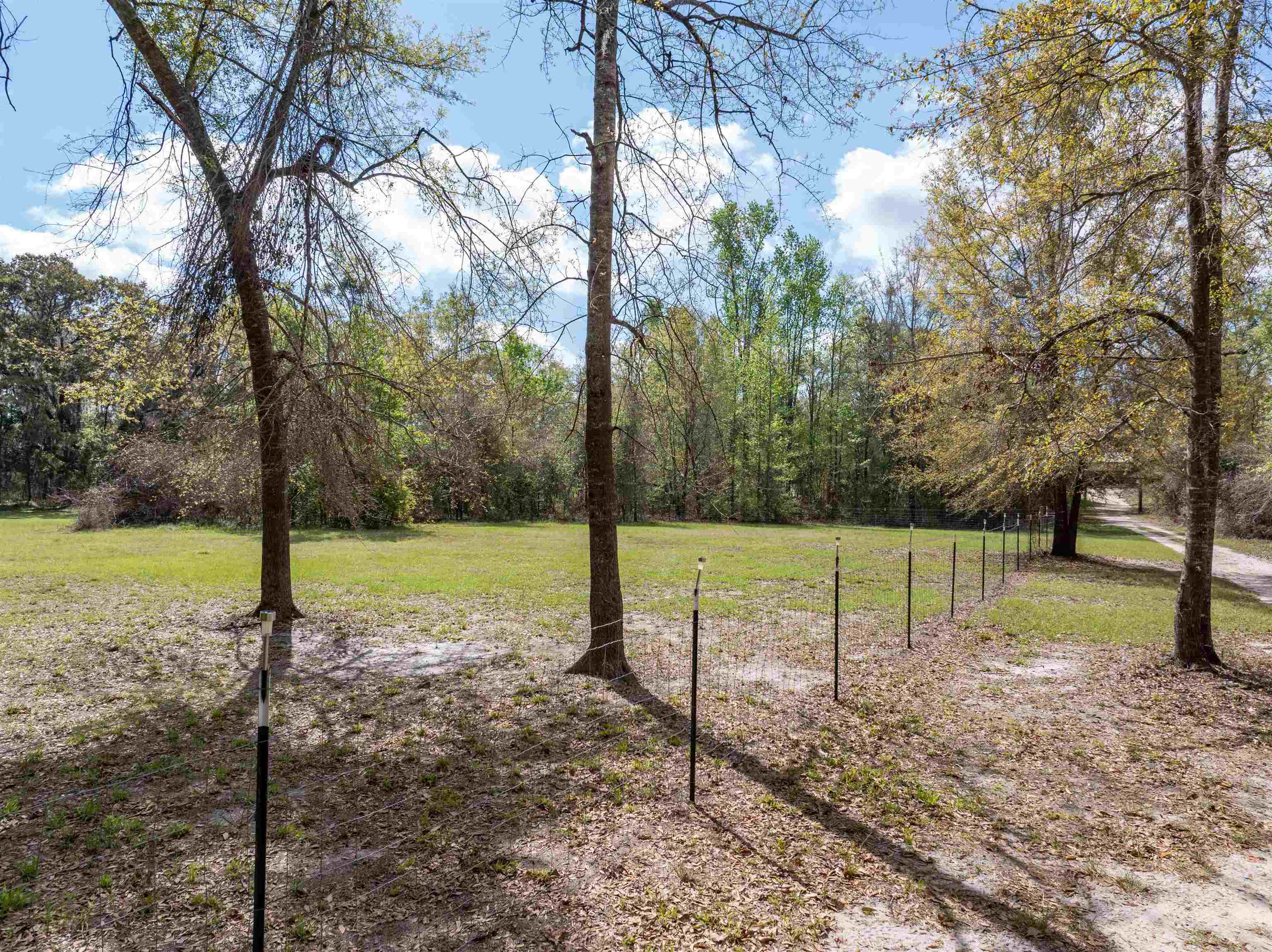 572 Northeast Oak Hill Road Pinetta, FL 32350 - Photo 6 of 48