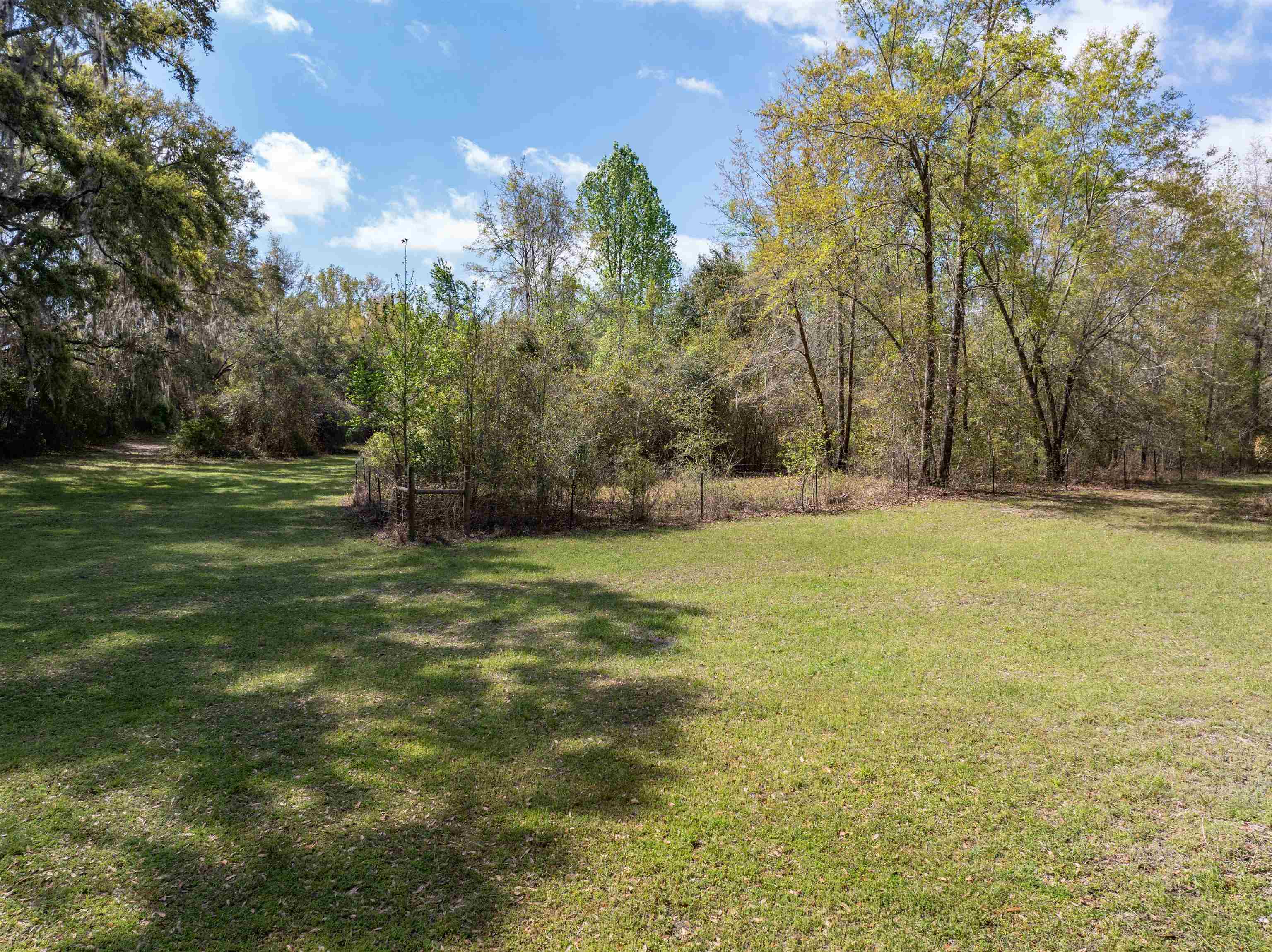 572 Northeast Oak Hill Road Pinetta, FL 32350 - Photo 7 of 48