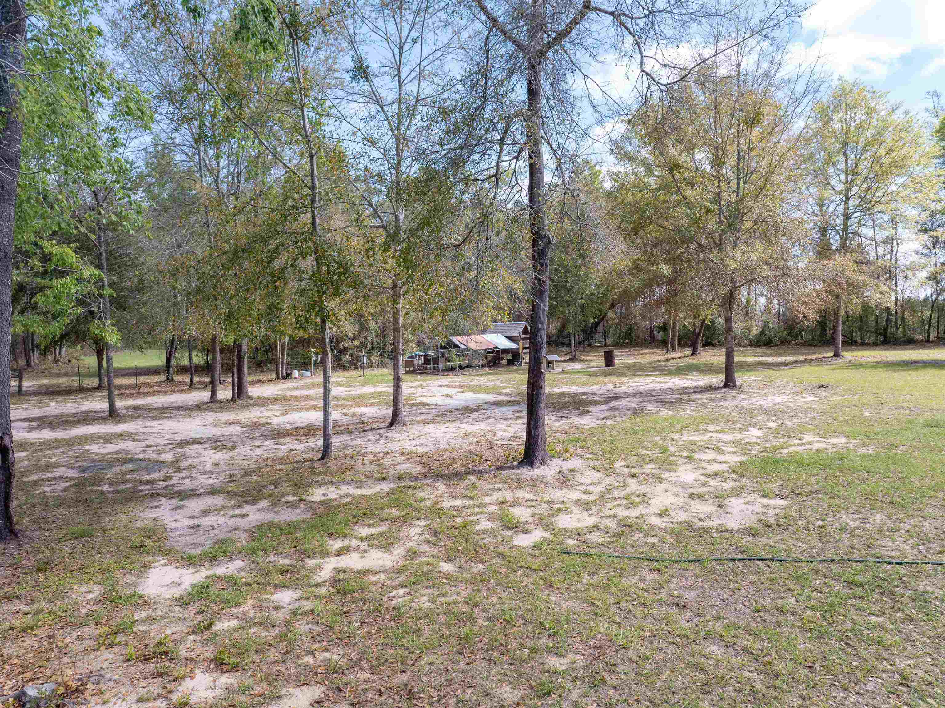 572 Northeast Oak Hill Road Pinetta, FL 32350 - Photo 8 of 48