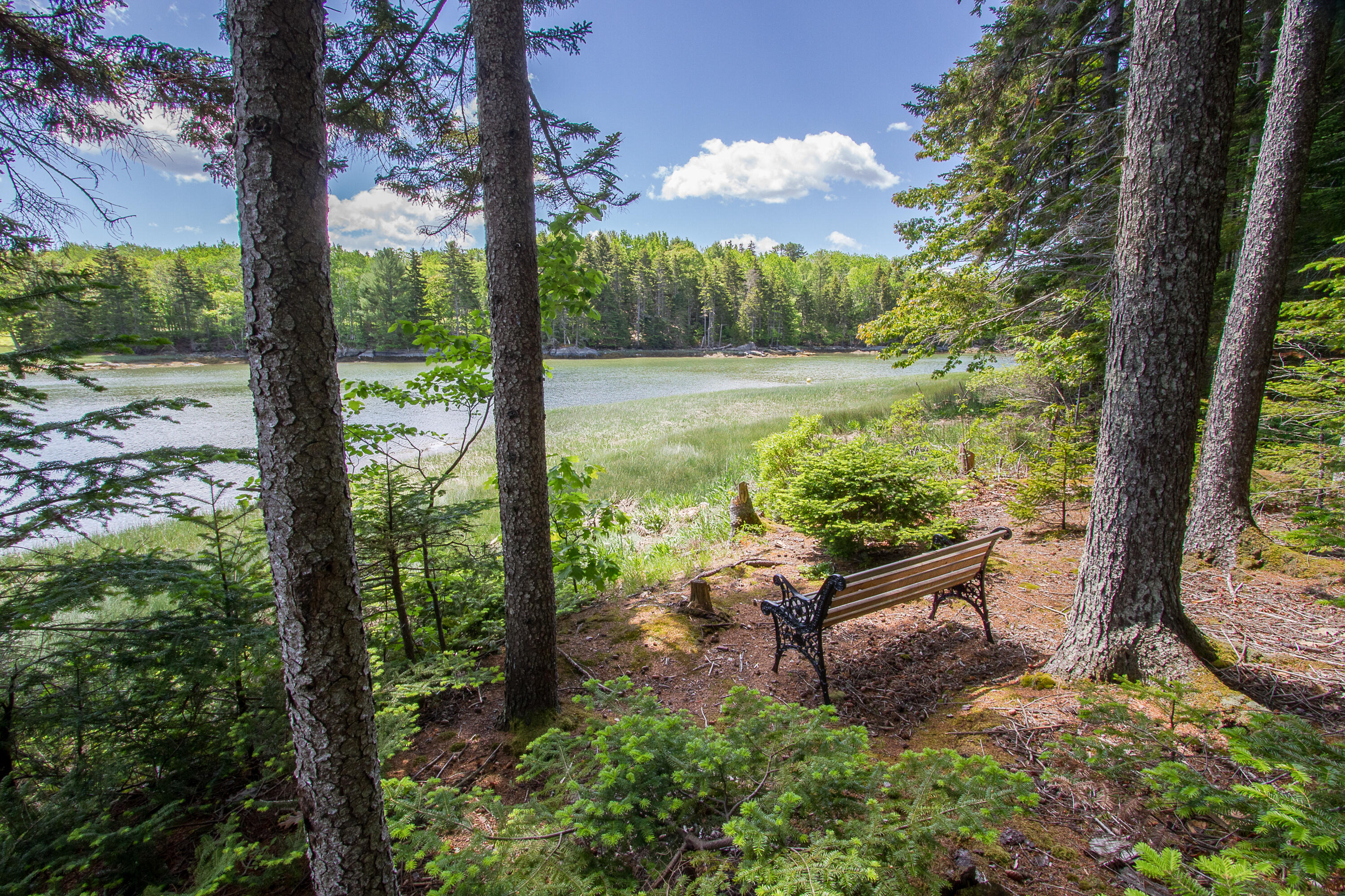 2 Treasure Point Road St. George, ME 04860 - Photo 6 of 49 47-2TreasurePointRd-StGeorge-KS