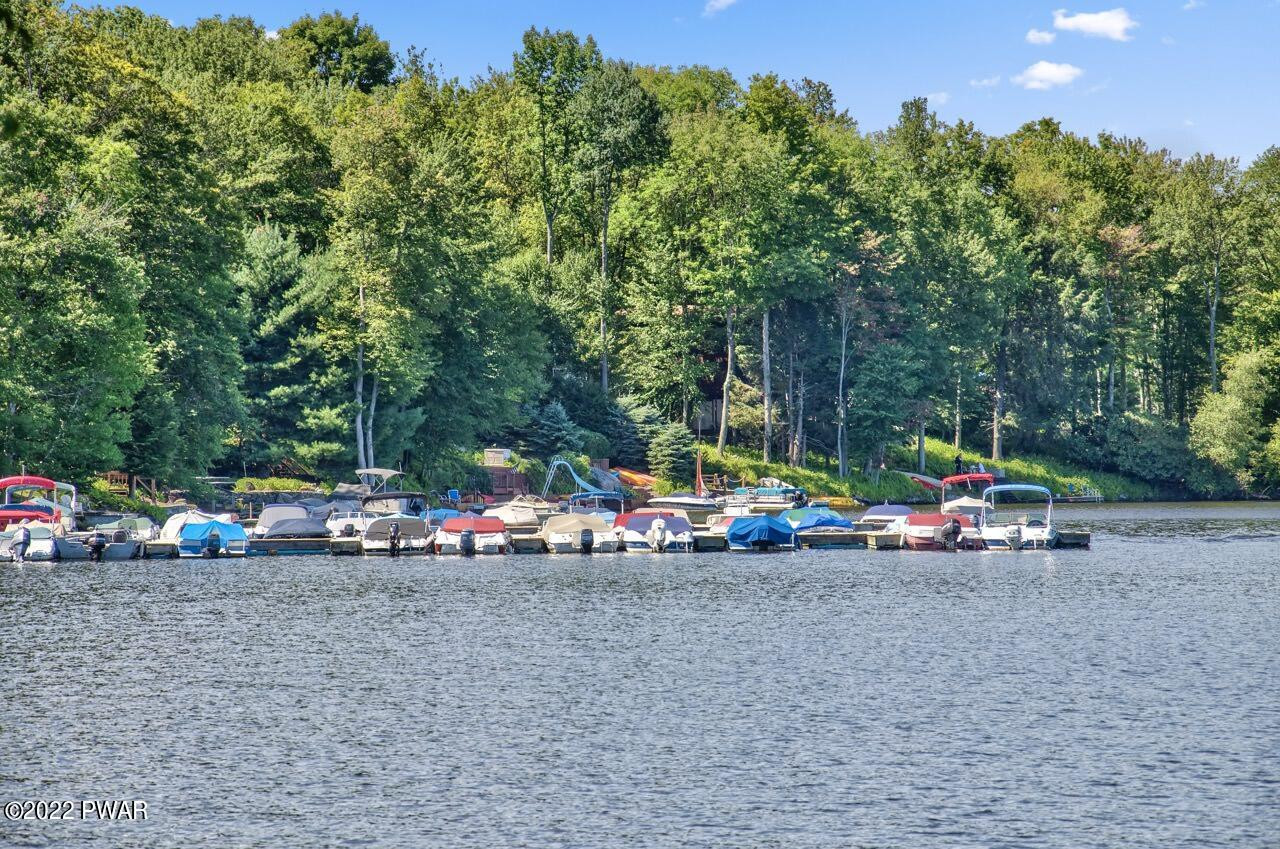 773 Deerfield Road Lake Ariel, PA 18436 - Photo 81 of 95 Marina Large