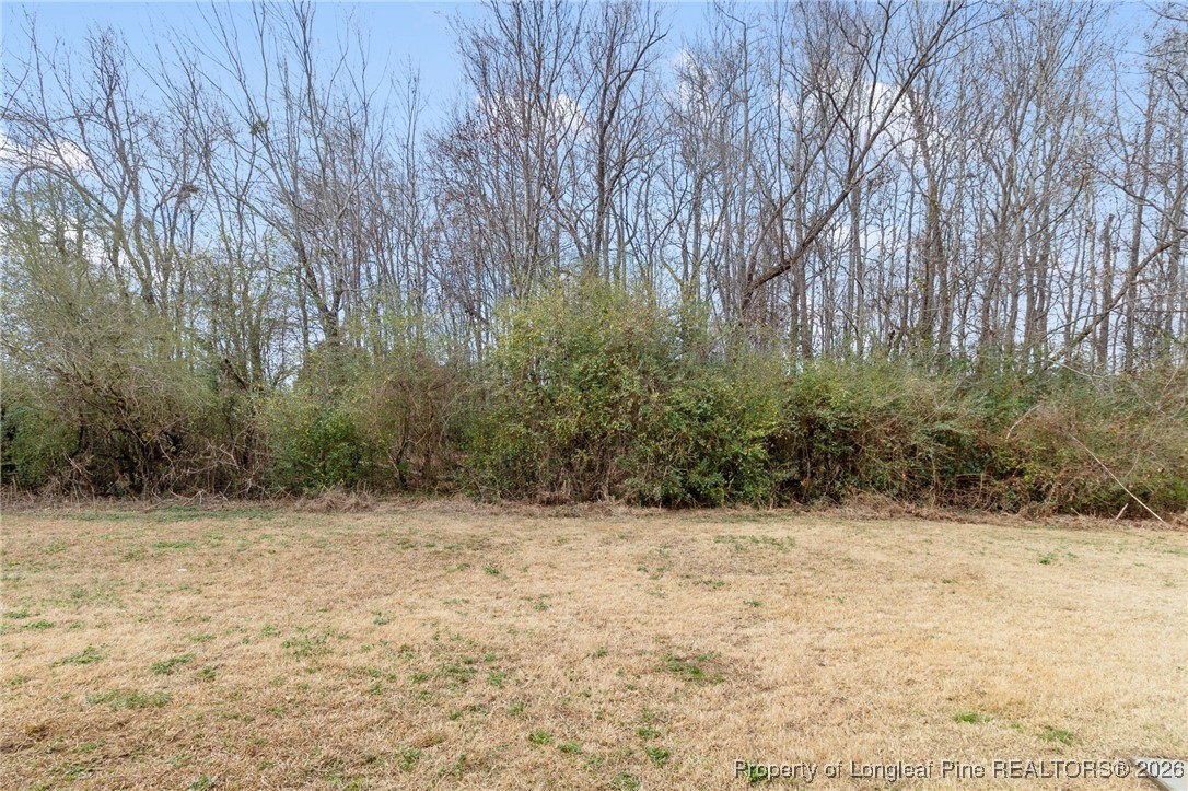 290 Mayor Court Raeford, NC 28376 - Photo 29 of 32 a view of wooden fence