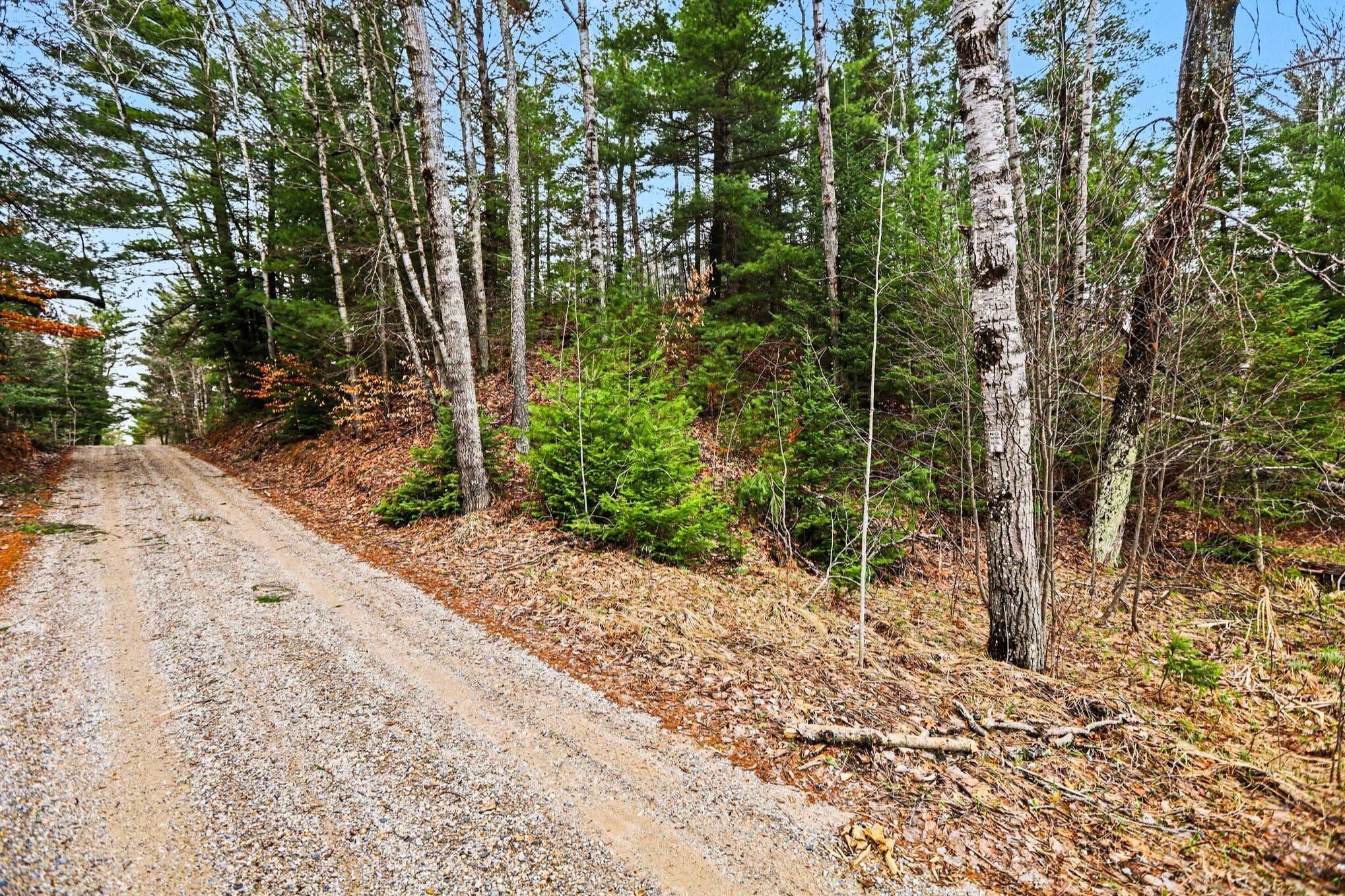 48 East 48 1/2 Road Cadillac, MI 49601 - Photo 11 of 26 11 _ VL East 48 1-2 Road