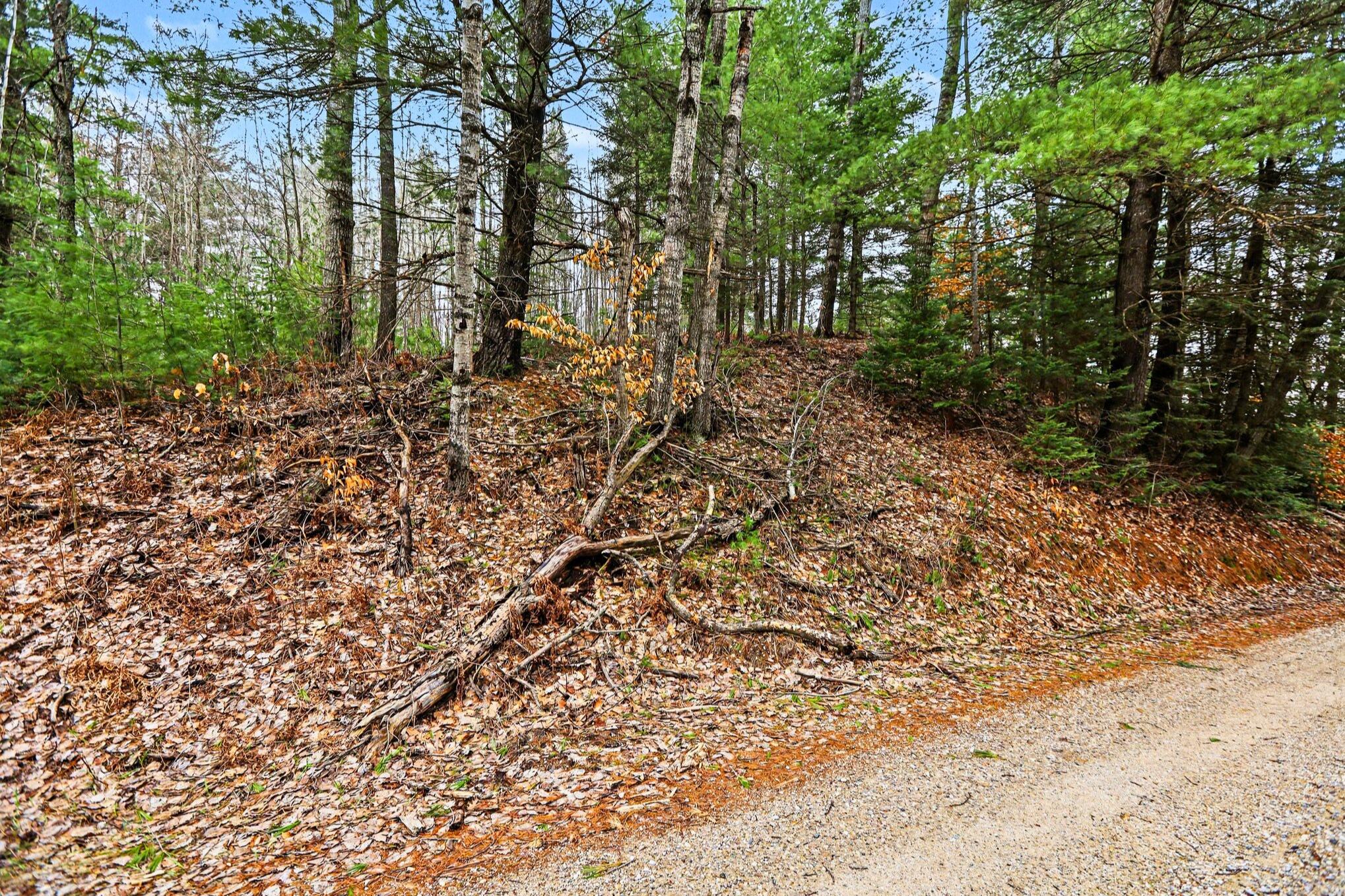 48 East 48 1/2 Road Cadillac, MI 49601 - Photo 12 of 26 12 _ VL East 48 1-2 Road