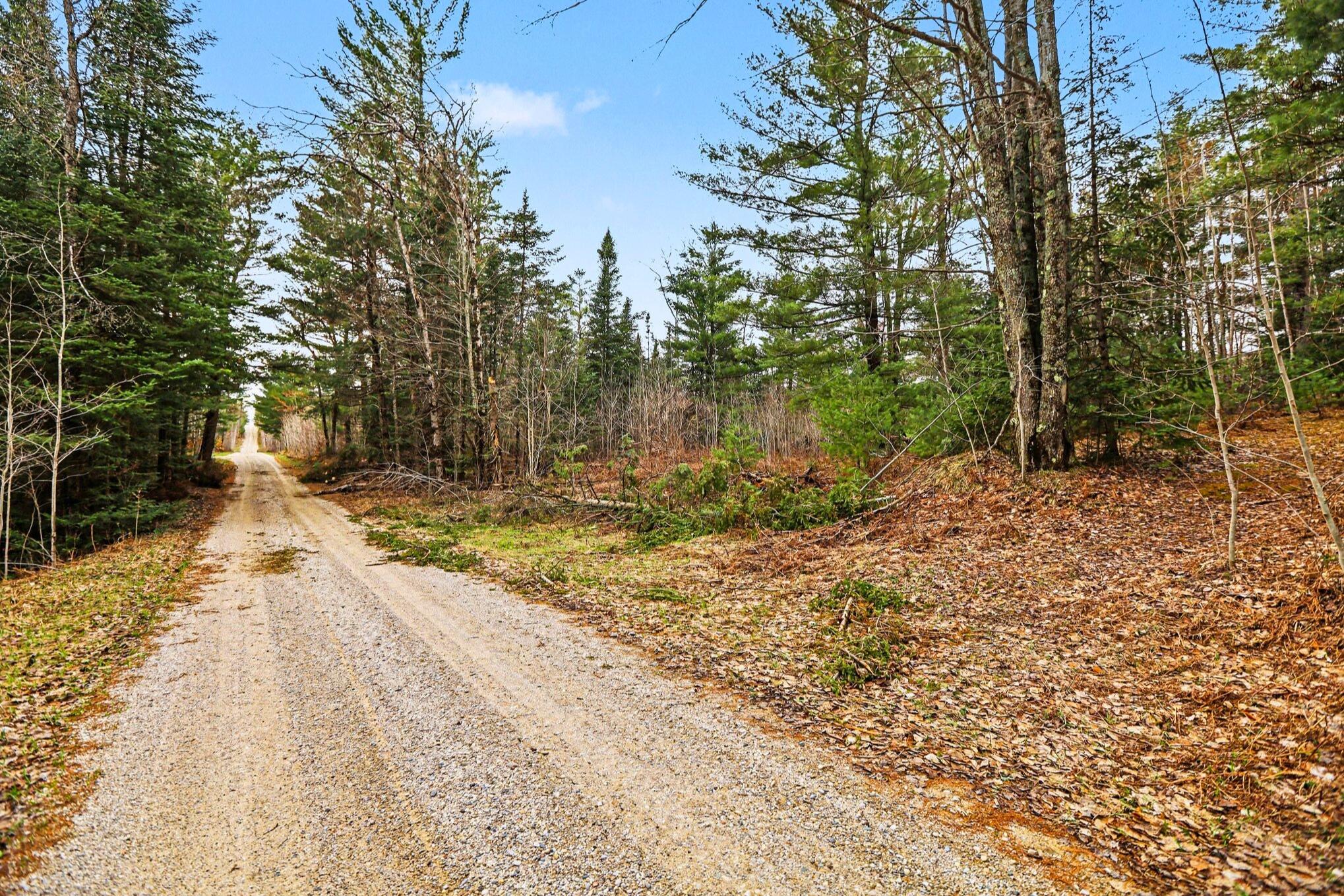 48 East 48 1/2 Road Cadillac, MI 49601 - Photo 13 of 26 13 _ VL East 48 1-2 Road