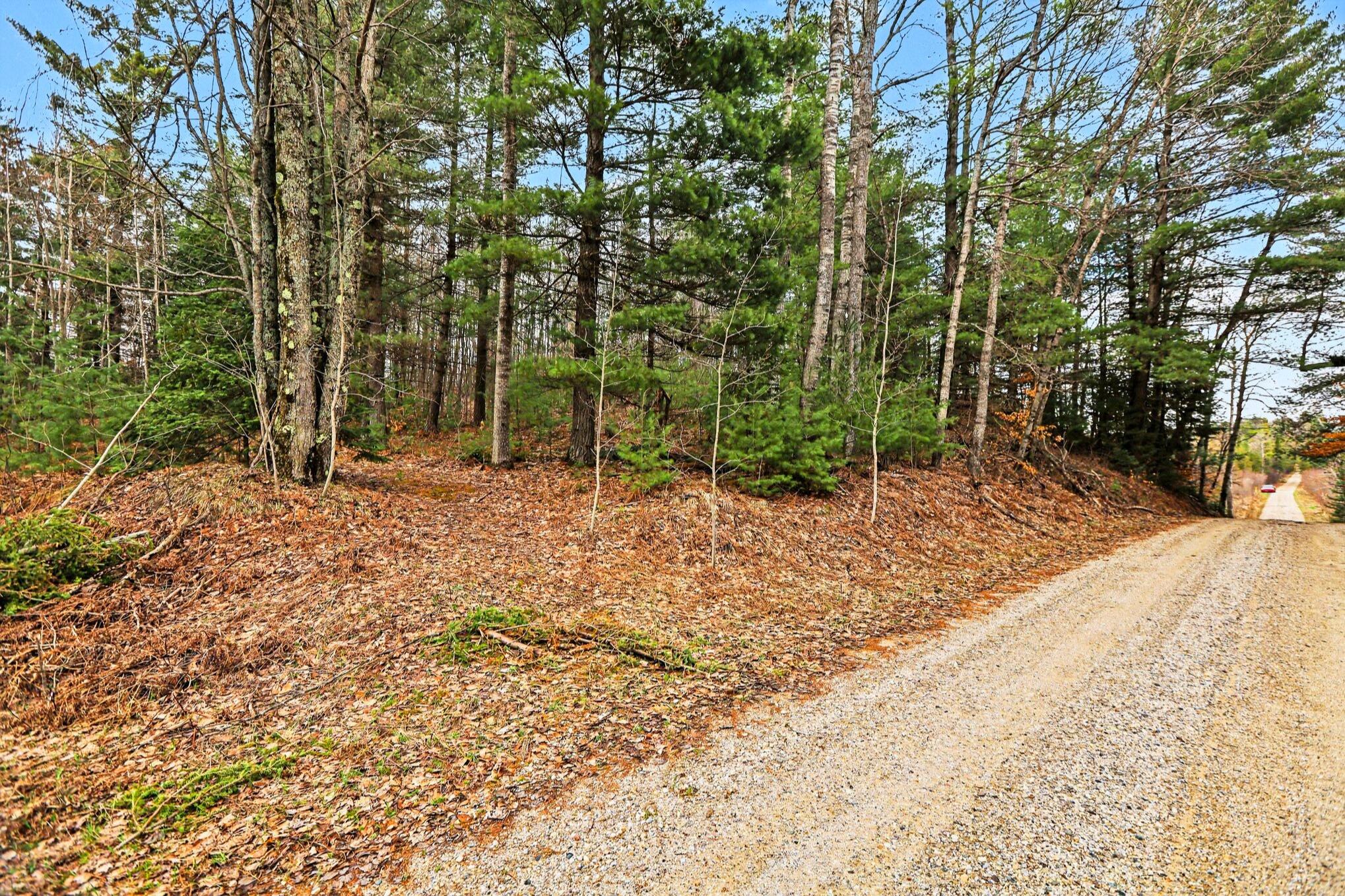 48 East 48 1/2 Road Cadillac, MI 49601 - Photo 16 of 26 16 _ VL East 48 1-2 Road