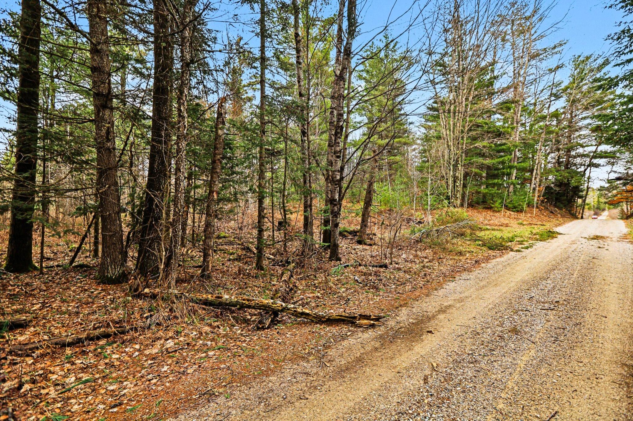 48 East 48 1/2 Road Cadillac, MI 49601 - Photo 4 of 26 4 _ VL East 48 1-2 Road