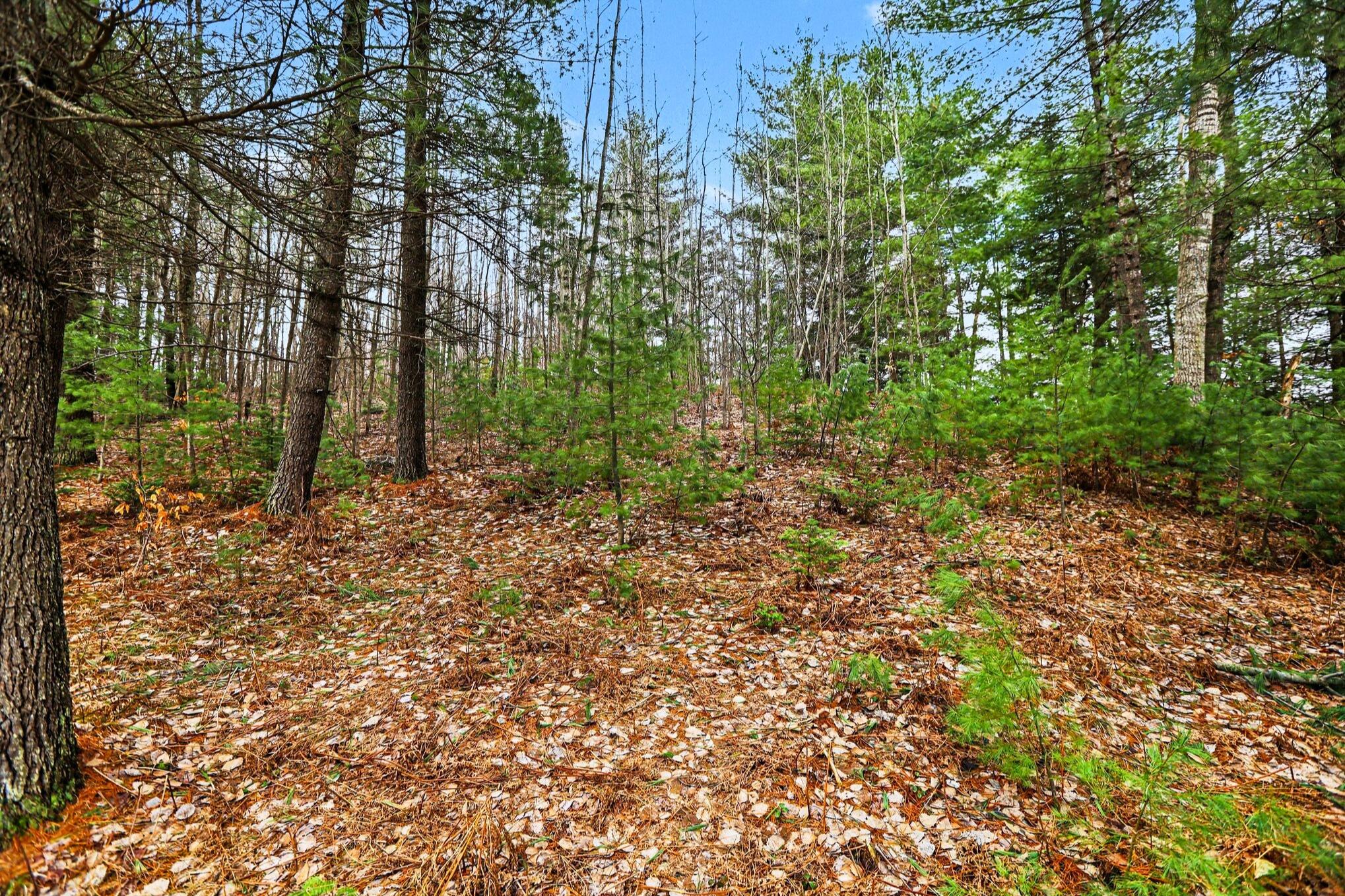 48 East 48 1/2 Road Cadillac, MI 49601 - Photo 6 of 26 6 _ VL East 48 1-2 Road