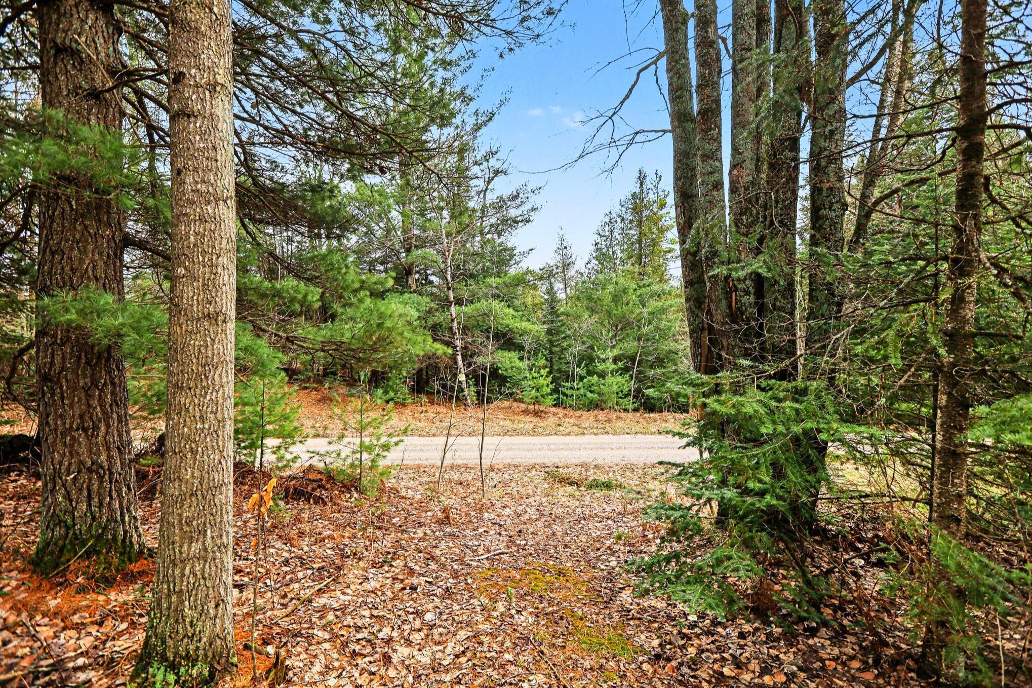 48 East 48 1/2 Road Cadillac, MI 49601 - Photo 7 of 26 7 _ VL East 48 1-2 Road