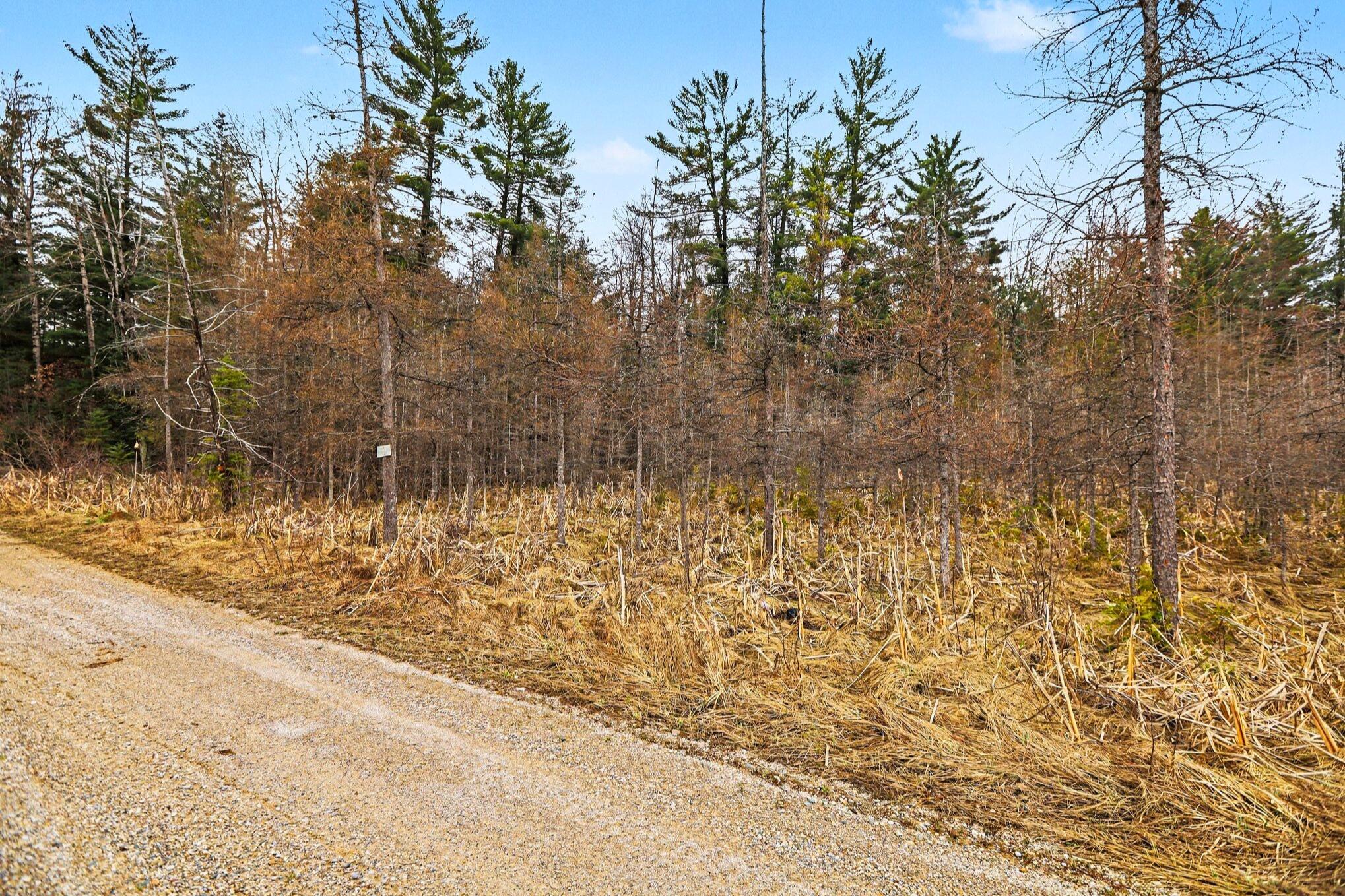 48 East 48 1/2 Road Cadillac, MI 49601 - Photo 9 of 26 9 _ VL East 48 1-2 Road